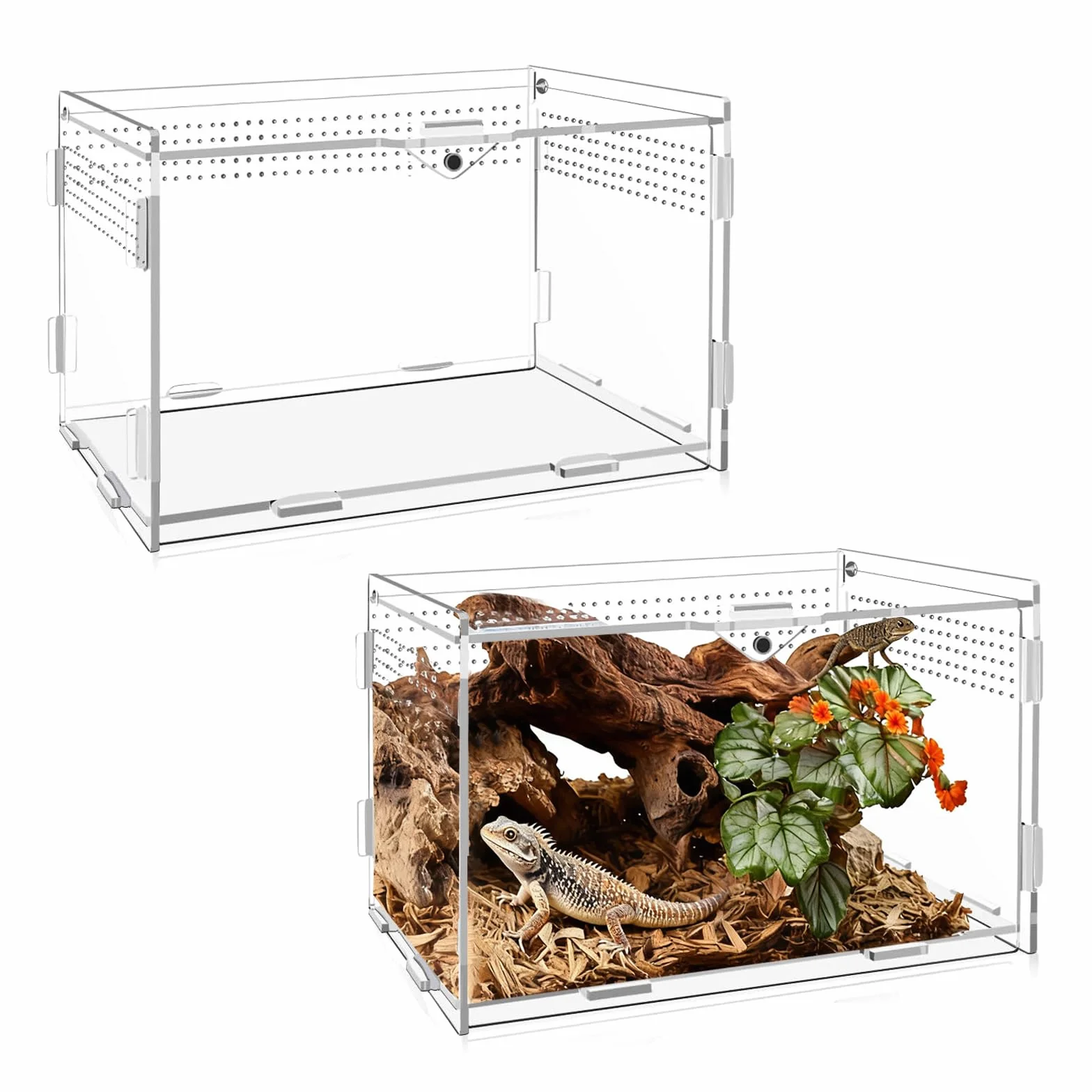 Terrarium Acrylique pour Escargots 20 x 12 x 12 cm Transparent avec Trous d'Aération