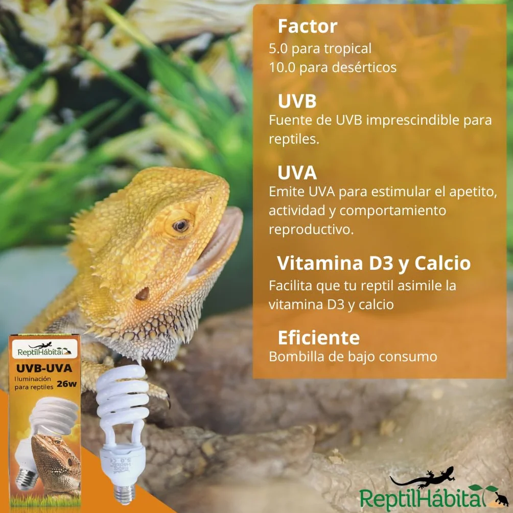 Ampoule UVB 10.0 UVA 13W E27 pour Terrarium Reptiles Tortues Pogona