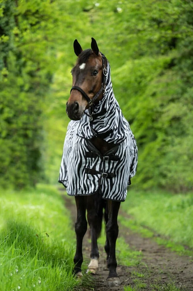 Couverture de Cheval HKM 4669 Motif Zèbre Taille 145