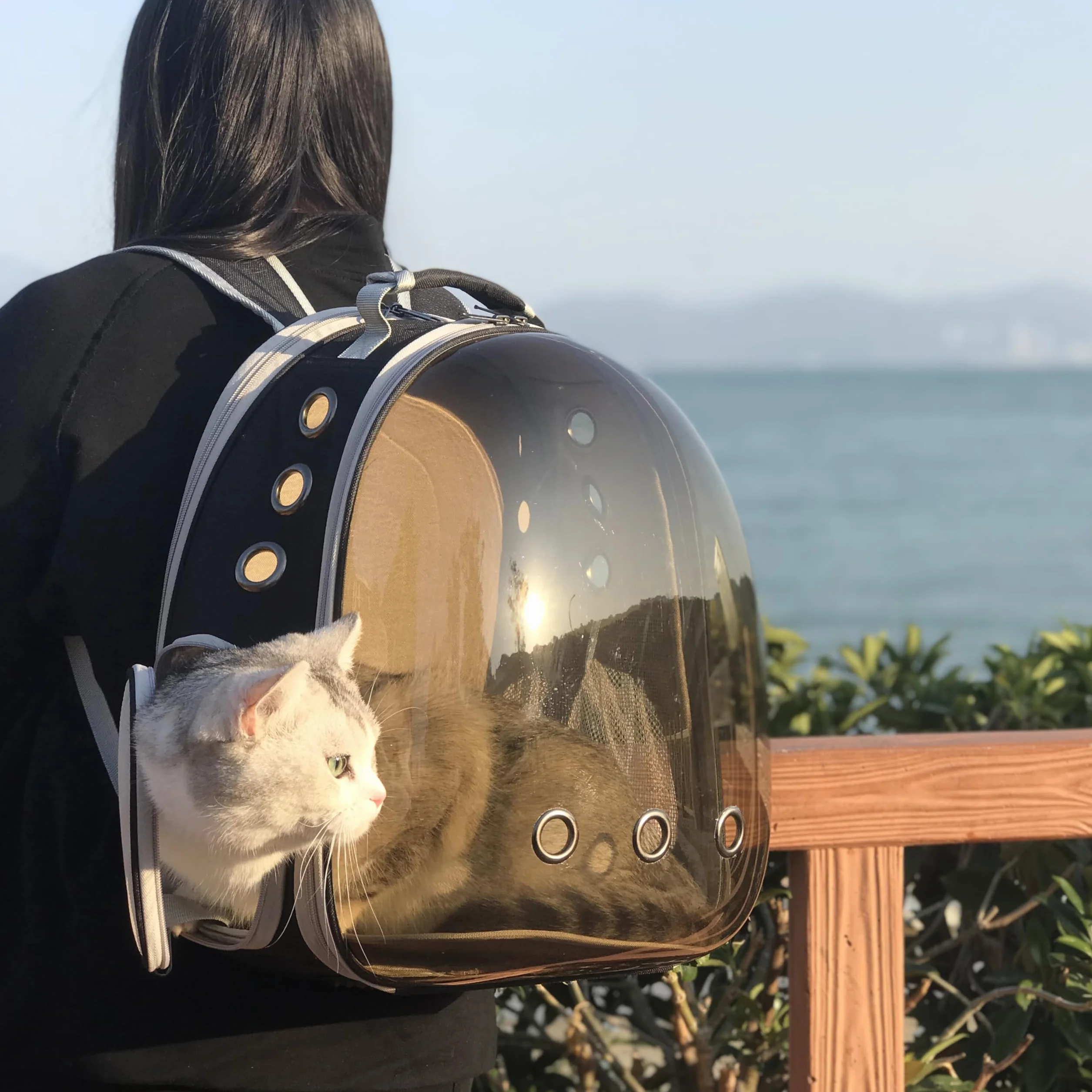 Sac à Dos pour Chat Interfashioner® 9 kg Fenêtre Bulle Transparente Transport Petite à Grande Taille