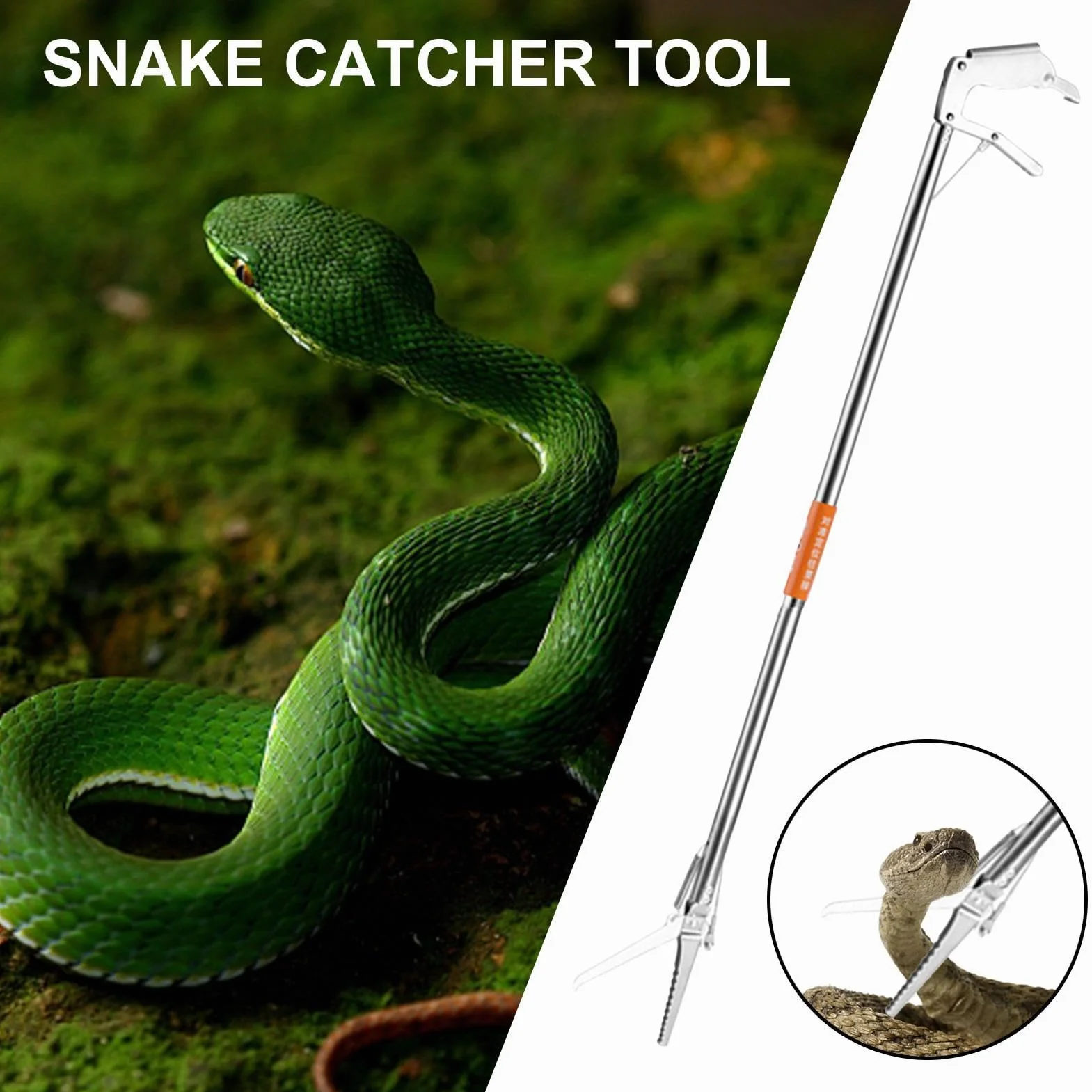 Pince télescopique pour reptiles – Outil de manipulation de serpent pliable