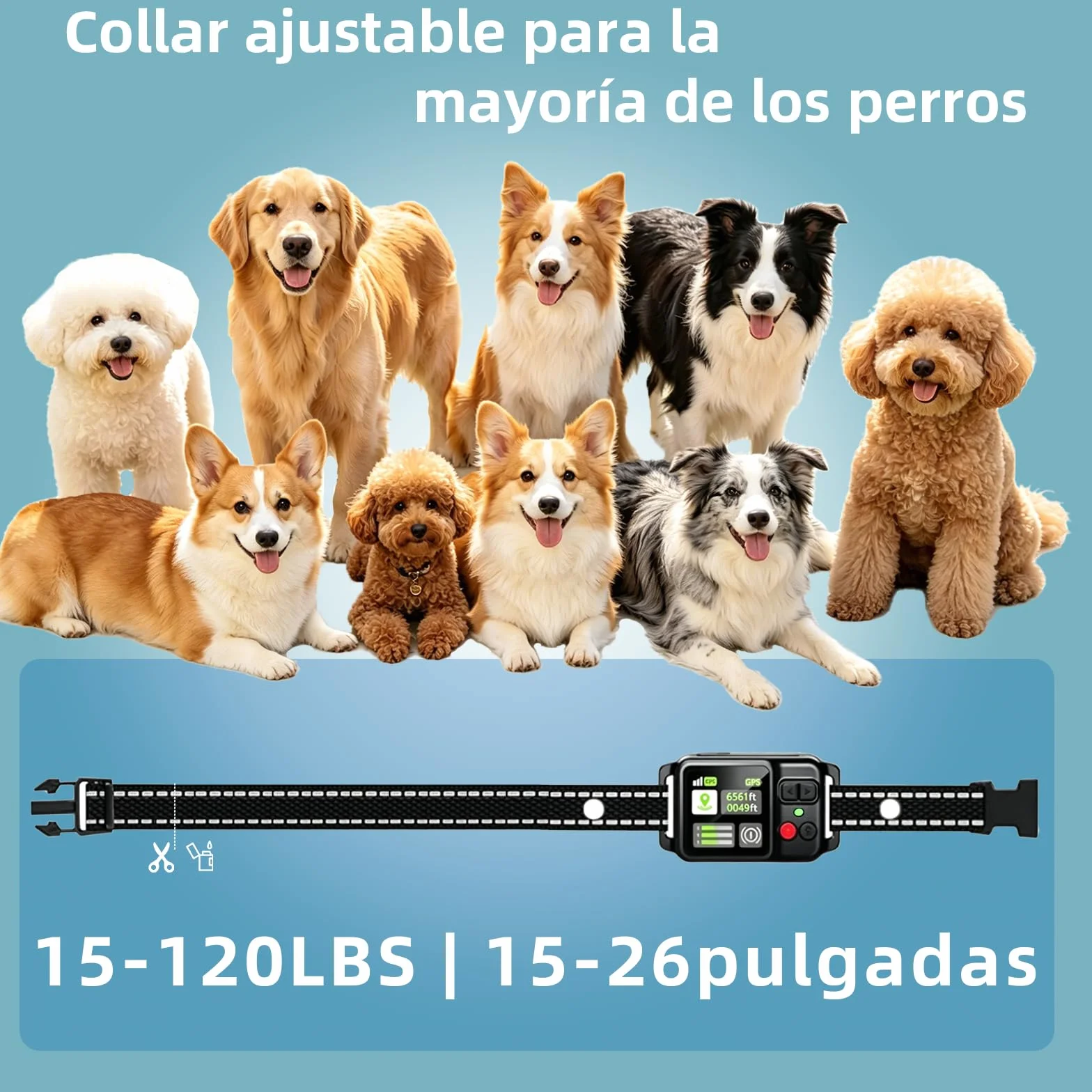 Clôture Invisible GPS pour Chien, Rayon Ajustable 15-2000m, 3 Modes d'Entraînement, IPX7, Sans Abonnement