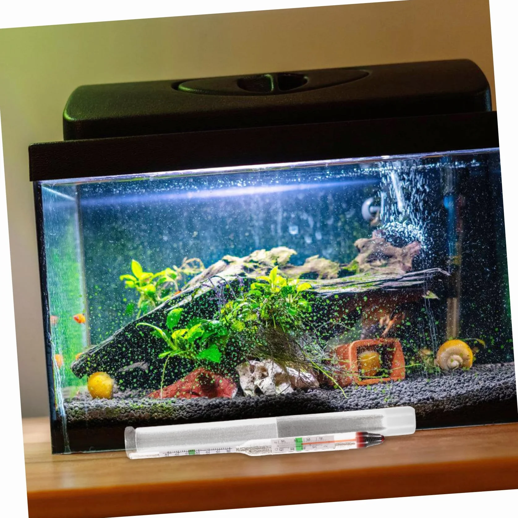 Toddmomy Densimètre Pour Aquarium Hydromètre De Salinité Kit De Test Eau De Mer Mesureur De Densité Verre