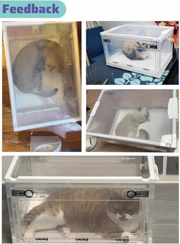 Chambre à oxygène portable pour chiots et chatons, soutient la santé respiratoire