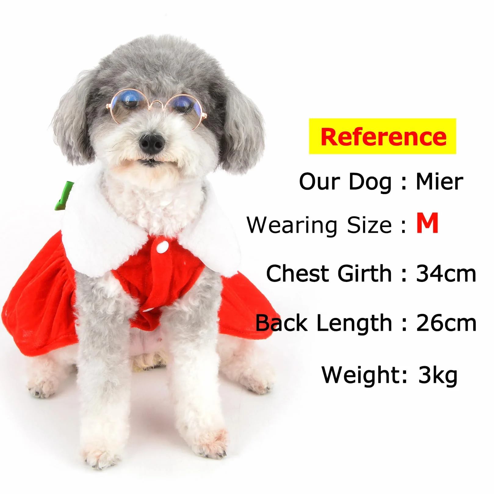Robe de Noël en Velours pour Petit Chien avec Nœud Papillon Jupe Chiot Tenue d'Hiver Costume Chihuahua Yorkshire