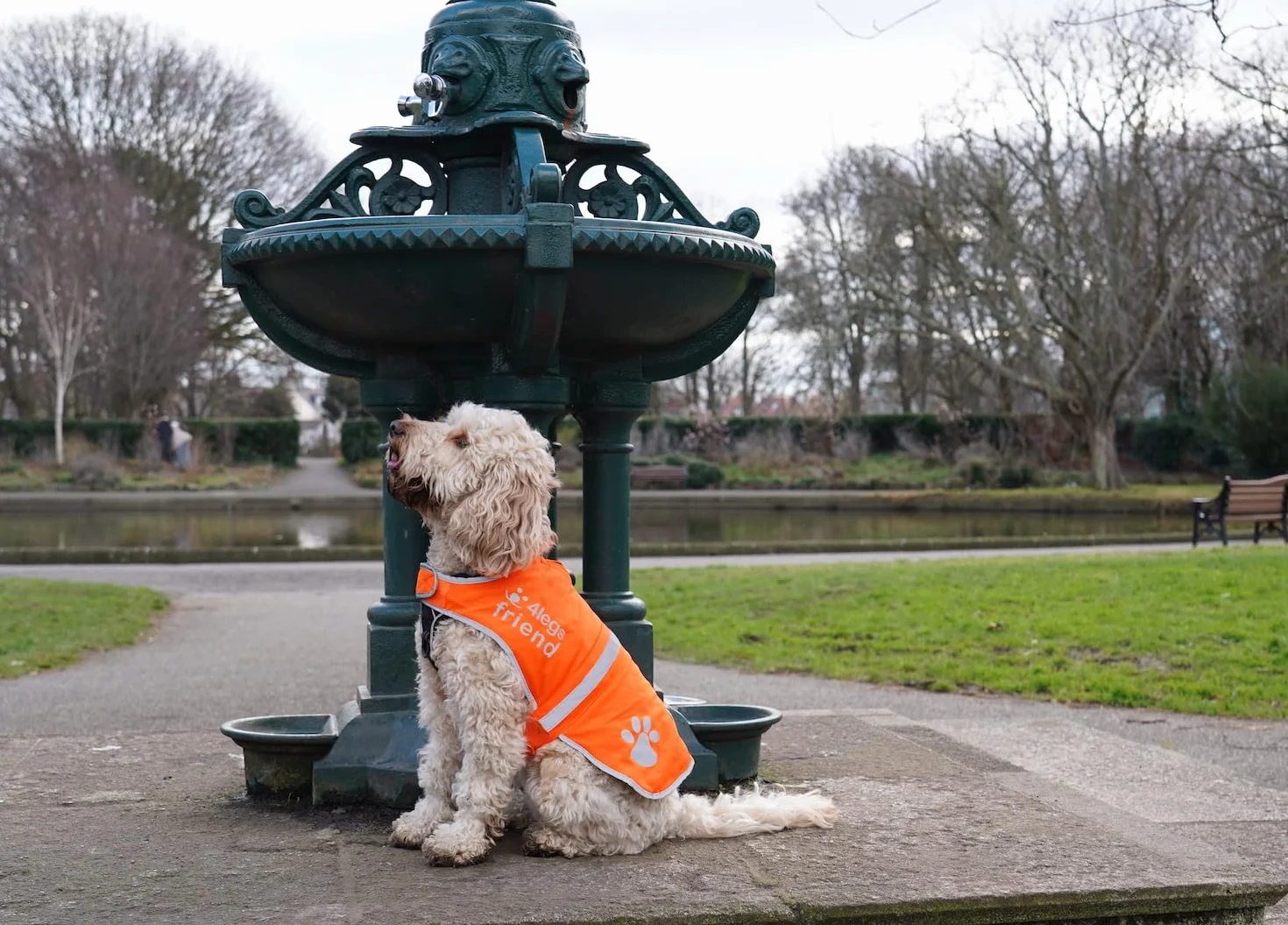 Gilet de Sécurité Réfléchissant pour Chien 5 Tailles Haute Visibilité Jour et Nuit