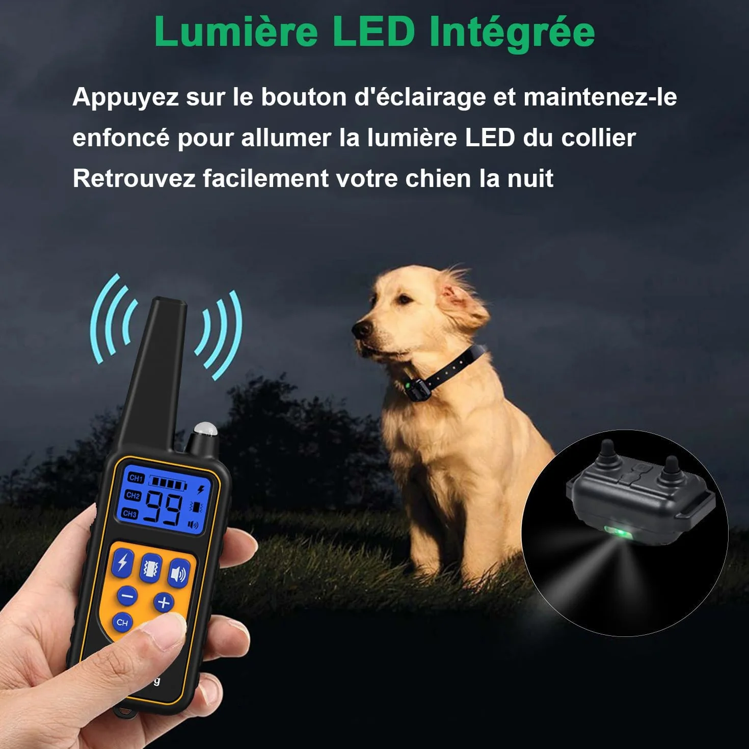 Collier de Dressage pour Chien Étanche Rechargeable 1000m, 2 Colliers