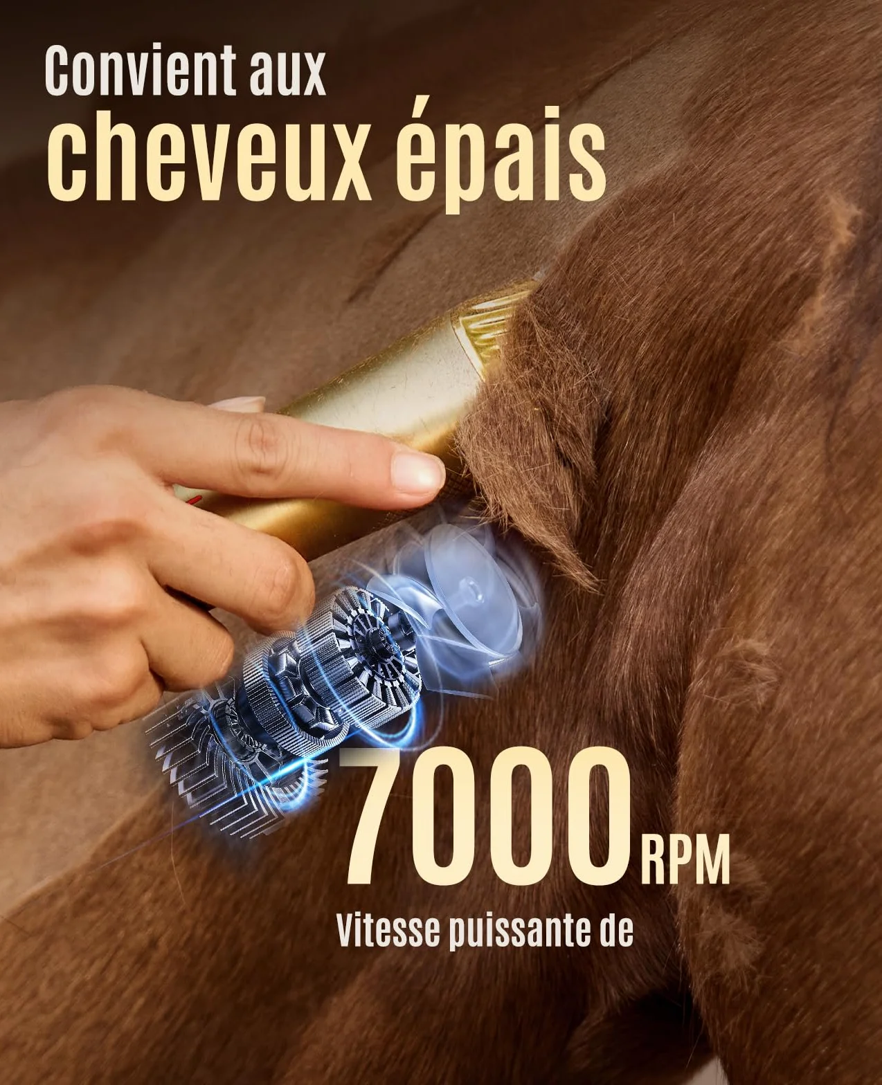 Oneisall Tondeuse Sans Fil pour Chevaux Professionnelle 2 Vitesses Faible Bruit Poils Longs/Épais