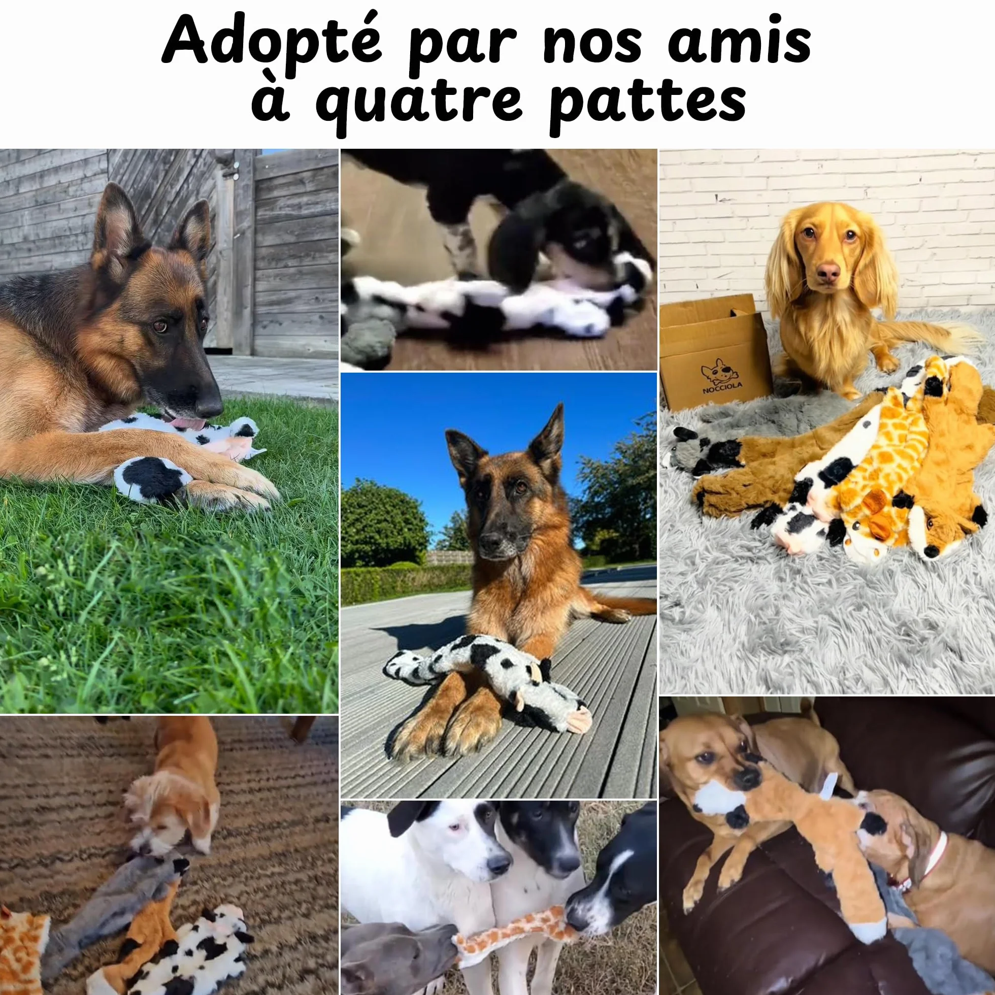 Jouet Chien Indestructible avec Couineur Lot de 2 Jouets Interactifs Renforcés Girafe Vache