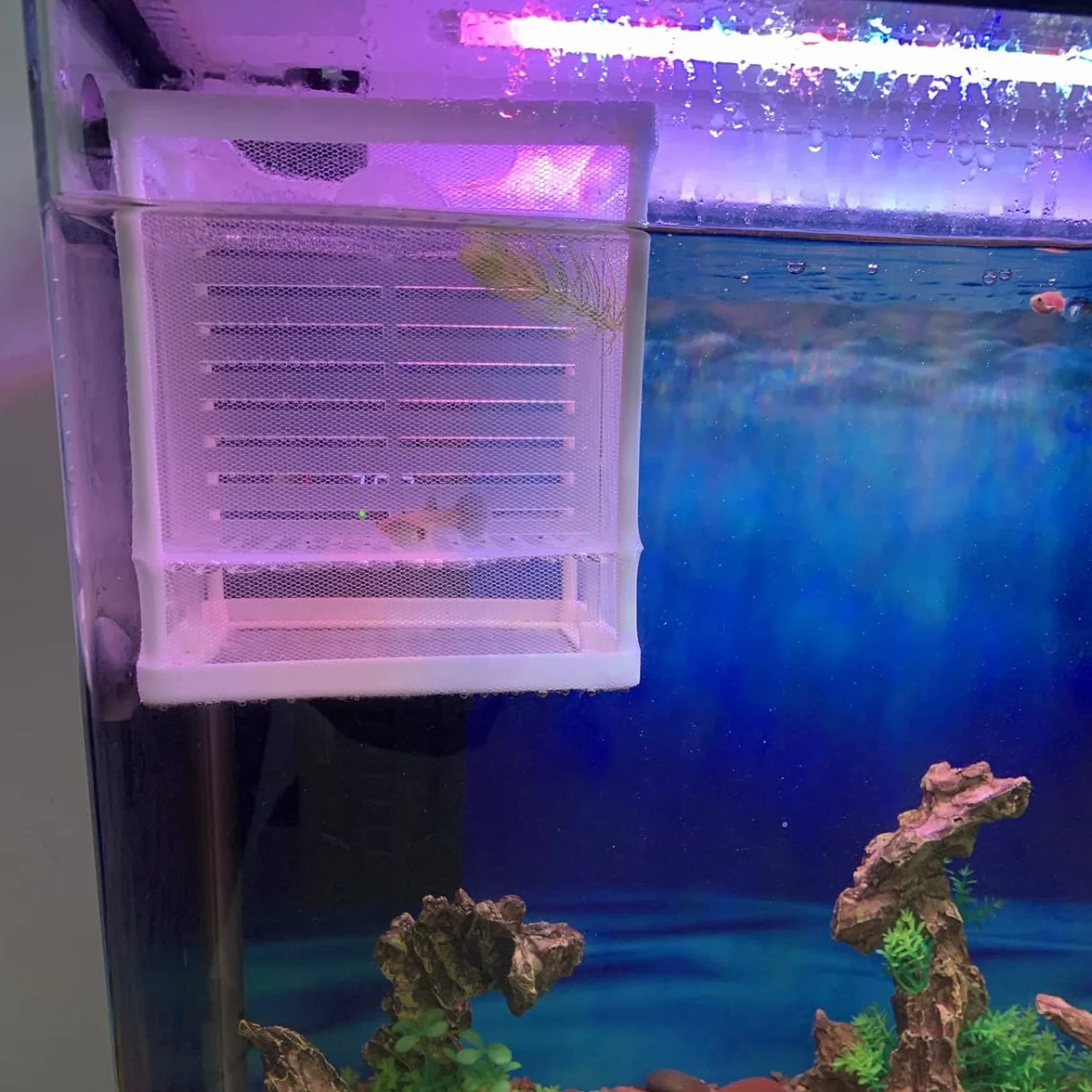 Boîtes d'élevage d'aquarium, Filet d'élevage de Poissons Double Couche avec Ventouses pour Aquarium Poisson Réservoir (Blanc)