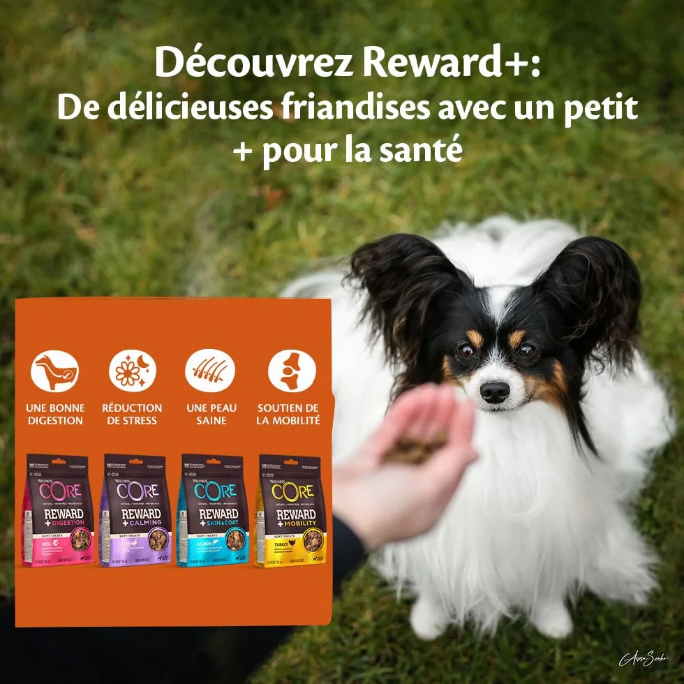 Wellness CORE Reward+ Calmant 170g Canard Camomille Friandises pour Chiens sans Céréales Hypoallergénique Riche en protéines