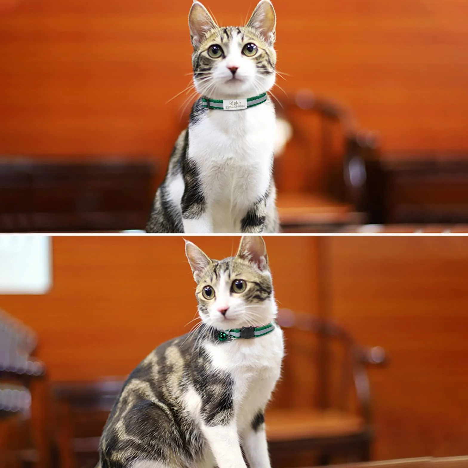 Collier Chat Personnalisable avec Nom Menthe Verte Anti Étranglement Réfléchissant Réglable avec Clochette et Étiquette d'Identification