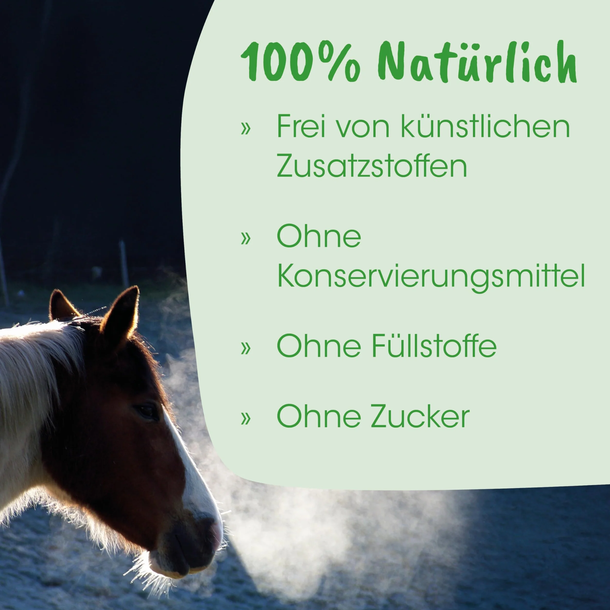 cdVet HustaVet Plus 2,5 kg - Gâteau Presse au Cumin Noir pour Chevaux, Soutien Voies Respiratoires et Bronches