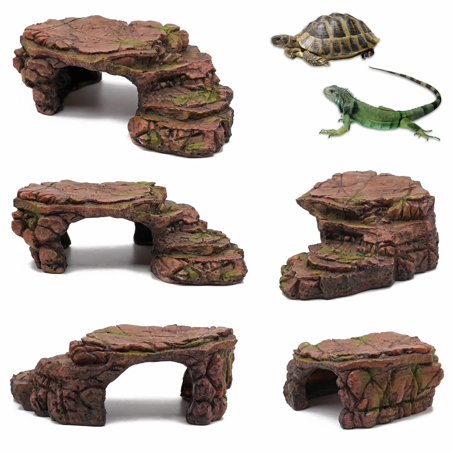 Abri Pour Tortue Caverne Reptiles Gecko Plateforme Rampes Accessoire Tortue Terrestre