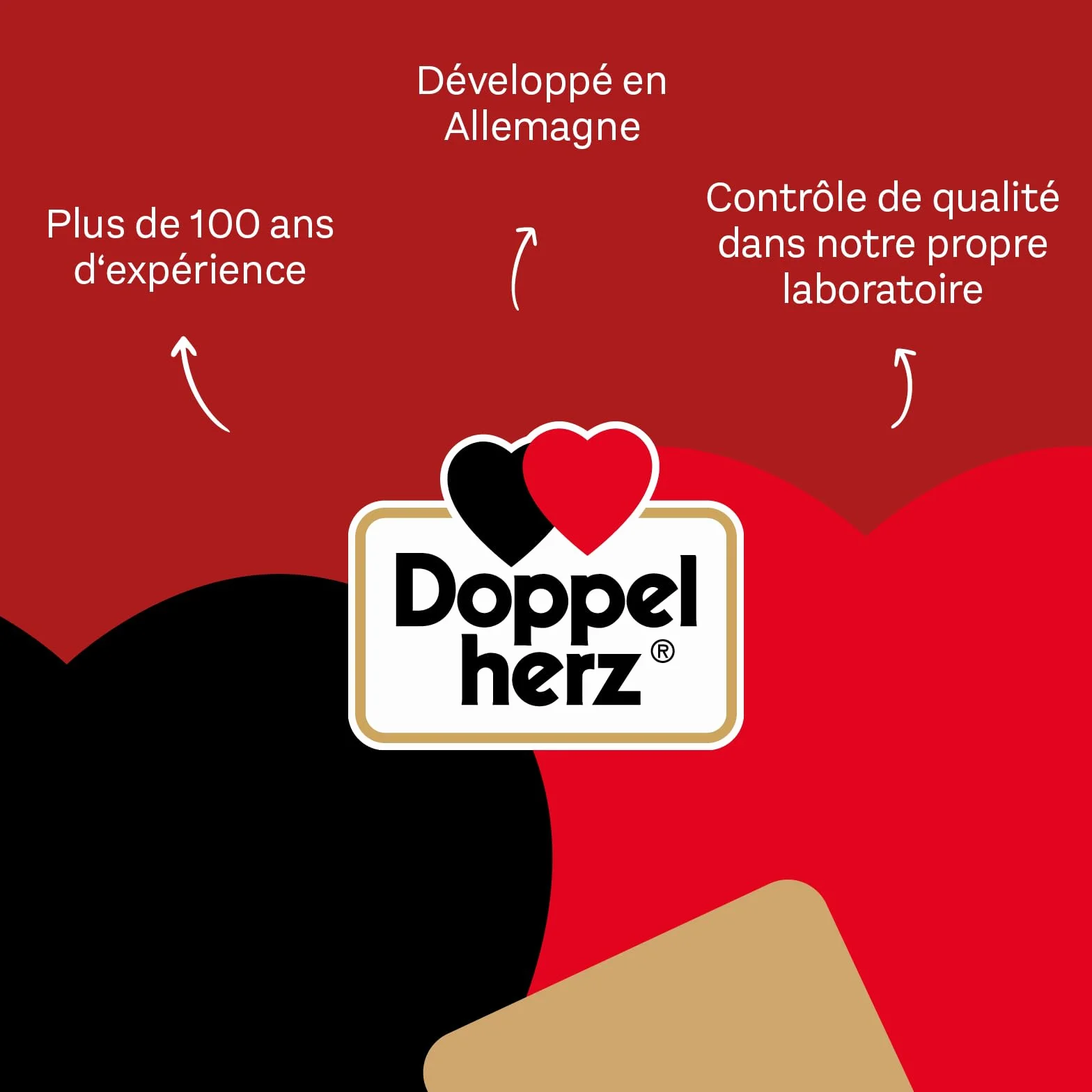 Doppelherz Anti-Hairball Complex pour Chats – 25 Licks crémeux – Facilite la Digestion des Boules de Poils
