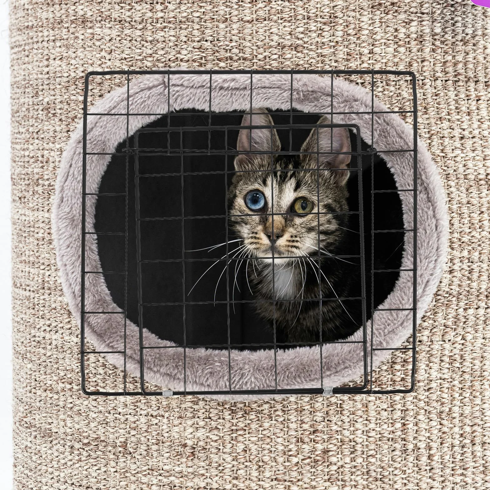 Hemobllo Porte de Cage Métallique 35x35 cm Fer Noir, Porte de Clôture Modulable pour Chat et Lapin