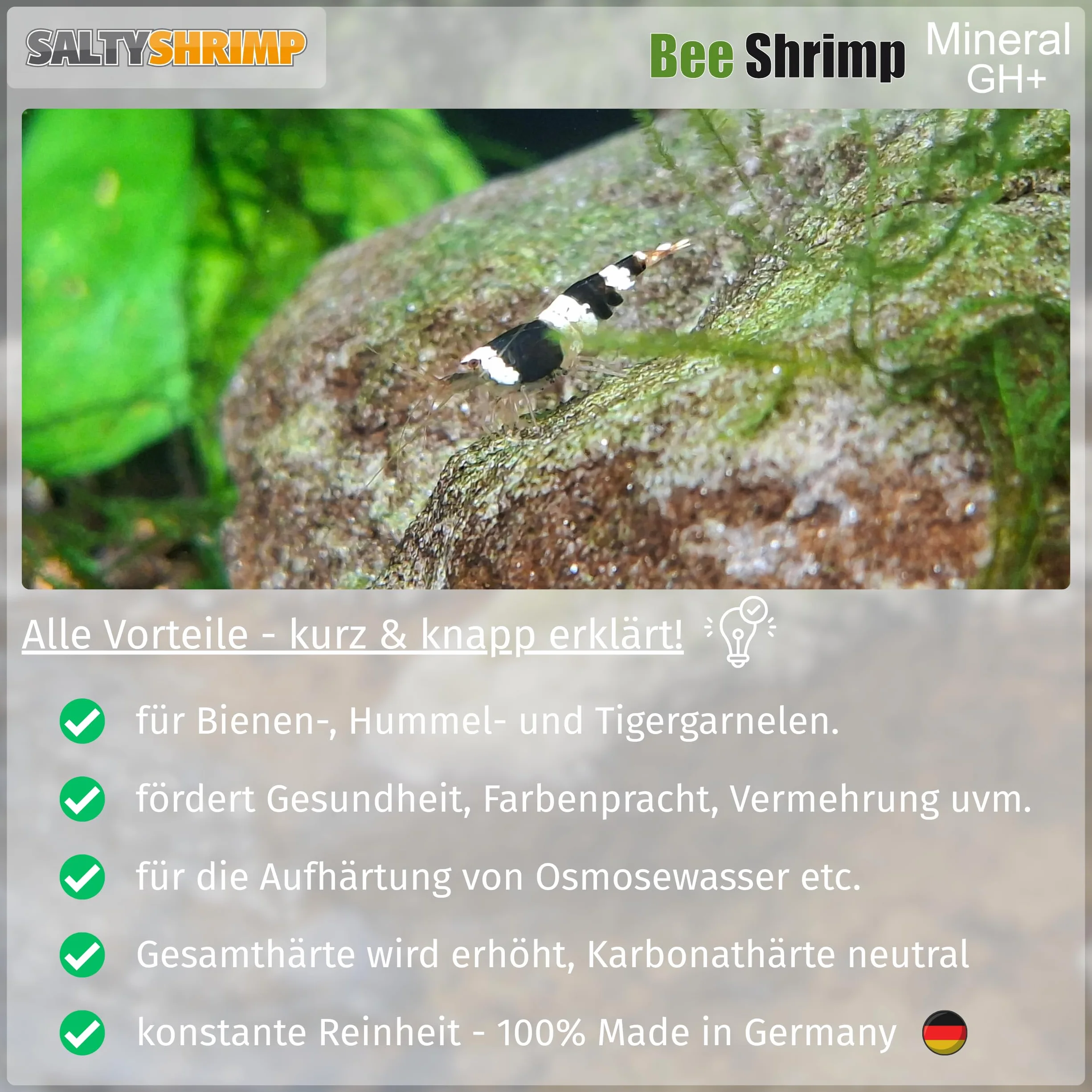 Bee Shrimp Mineral GH+ 110g Sel minéral pour crevettes Abeilles bourdons Tigres augmentation dureté eau