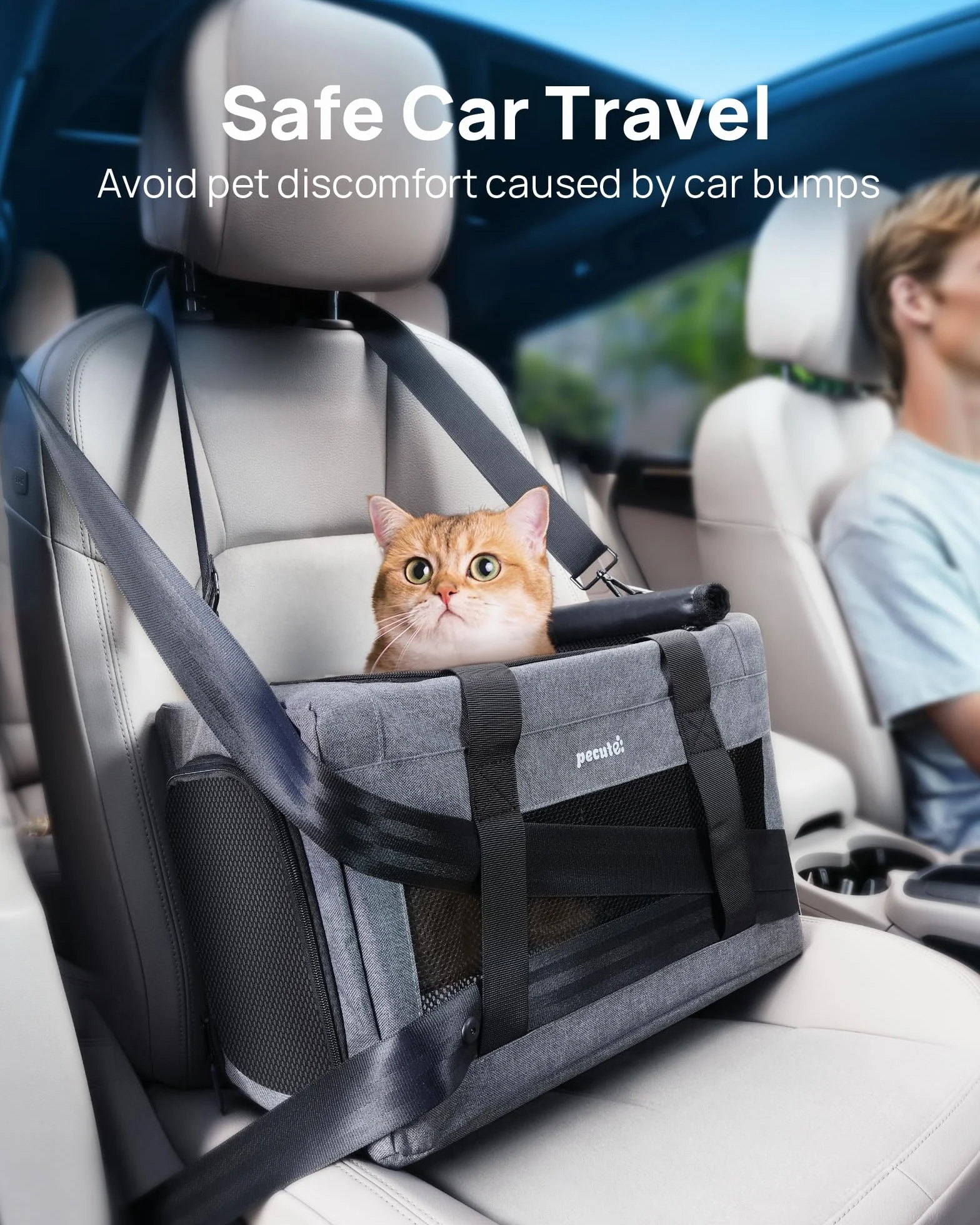 Pecute Sac de Transport pour Chat Approuvé par les Compagnies Aériennes Gris