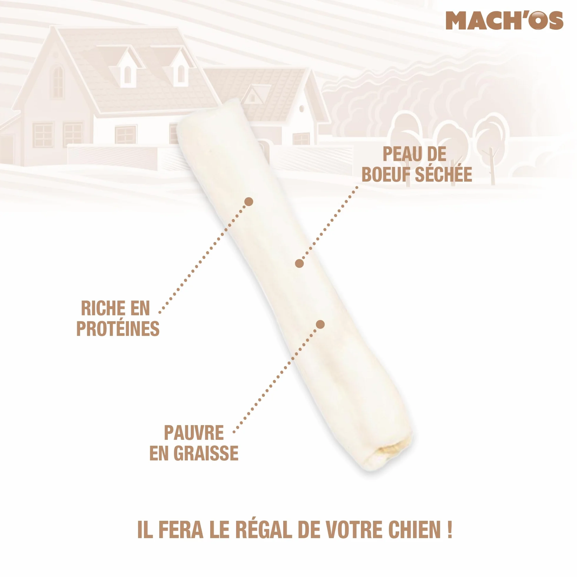 Riga - Mach'os - Barre Soufflée Blanche - Friandise pour Chien - Peau De Buffle - Riche en Protéines - Hygiène Buccale - Mastication Et Récompense - pour Moyen Chien - x 5
