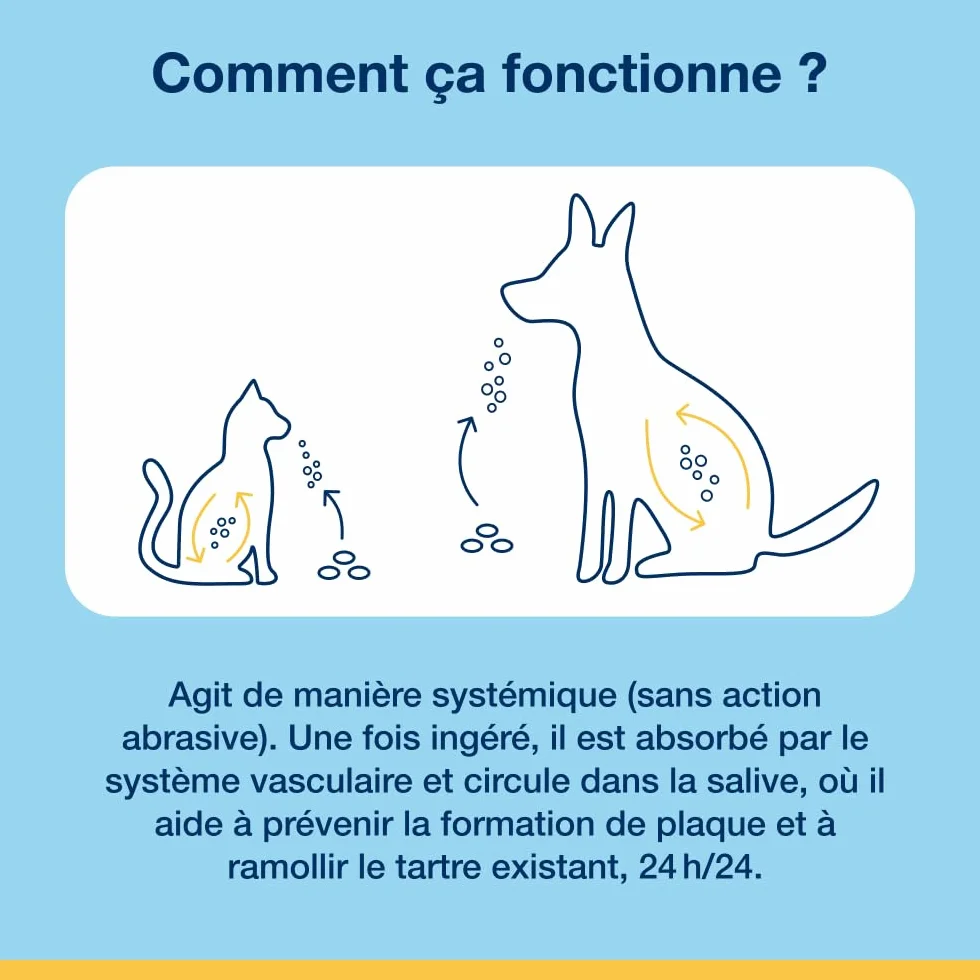 ProDen PlaqueOff Friandises Dentaires Croquantes pour Chats 60g Anti-Tartre Algue Naturelle