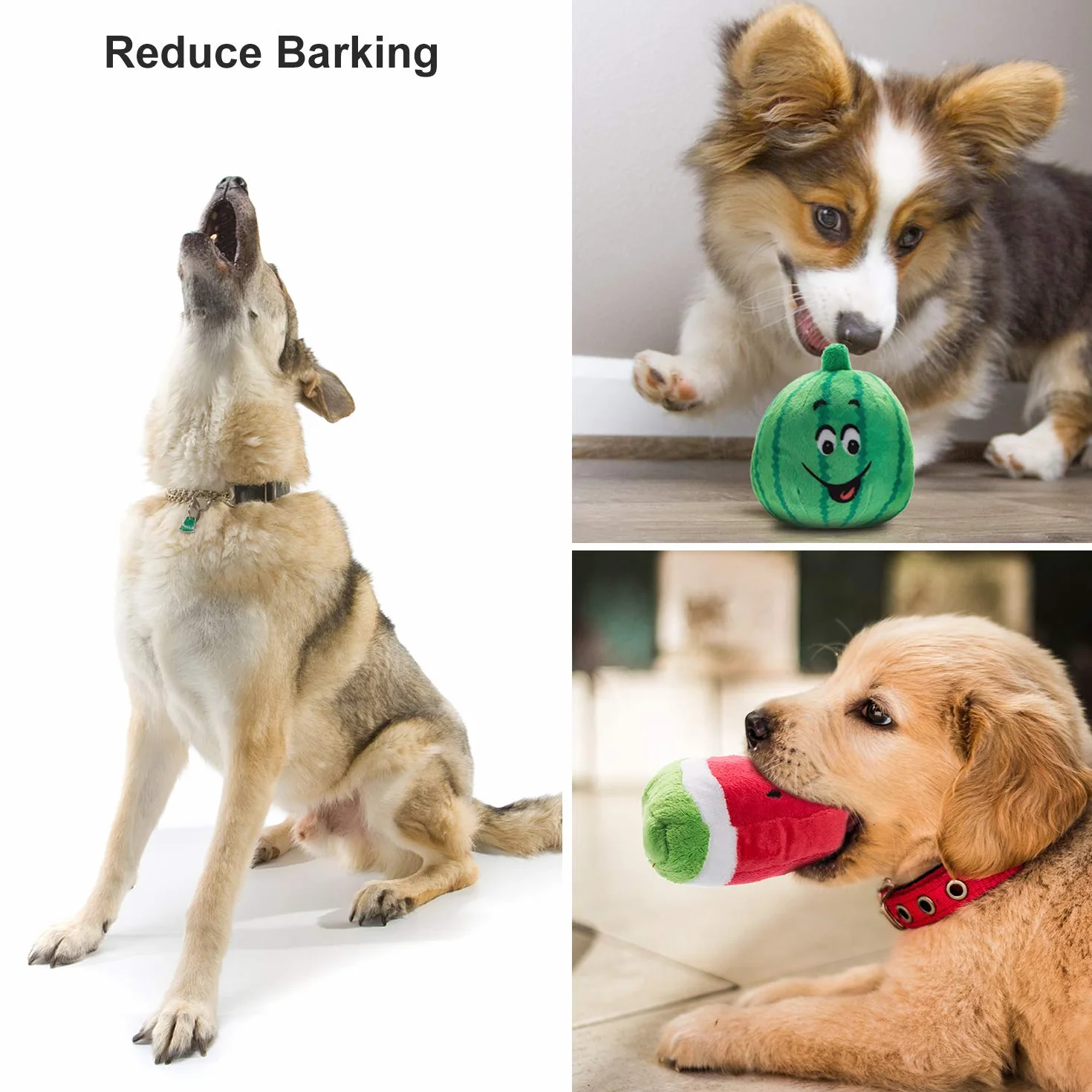 Jouets Petit Chien Couineur En Peluche 12pcs Avec Sac De Rangement, Jouets Mâcher Doux Anti-Ennui Formes Fruits Et Légumes