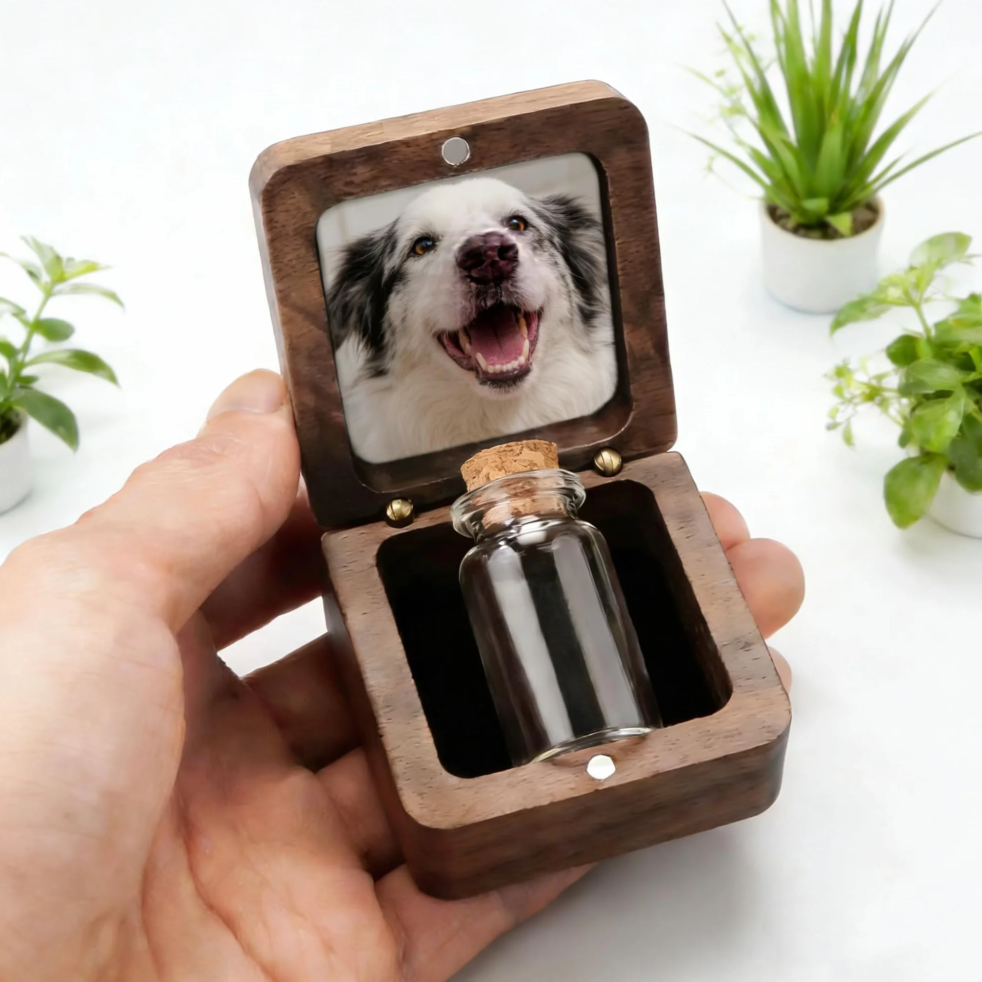 Boîte à Souvenirs Personnalisée pour Poils d'animaux, Urne en Bois avec Photo et Nom, Cadeau Commémoratif Perte d'animal, 4 Flacons en Verre