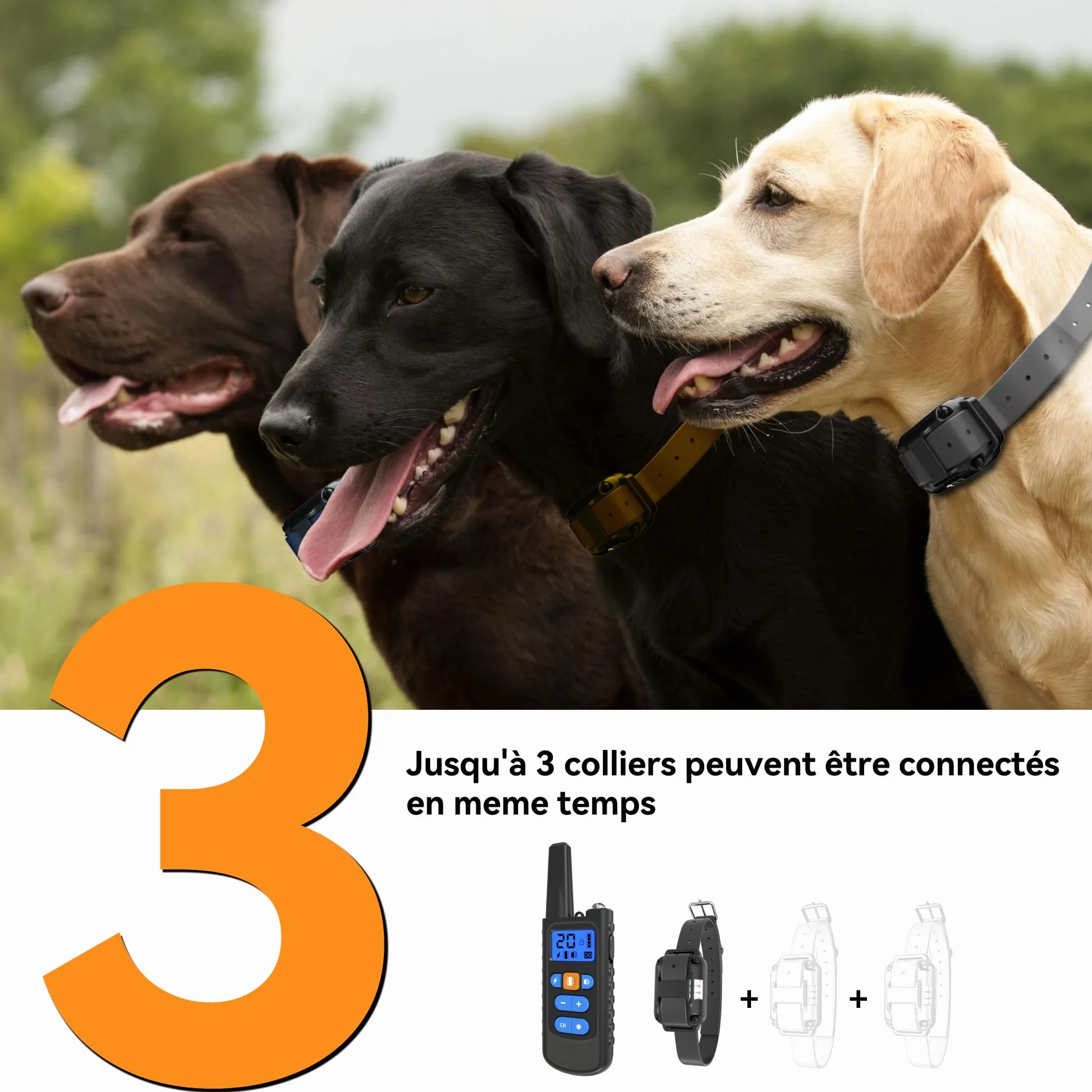 Collier de Dressage pour Chiens Rechargeable Meloive, Portée 3000m, Mode Vibration Son Choc Statique Lumière, IPX67 Résistant à l'Eau