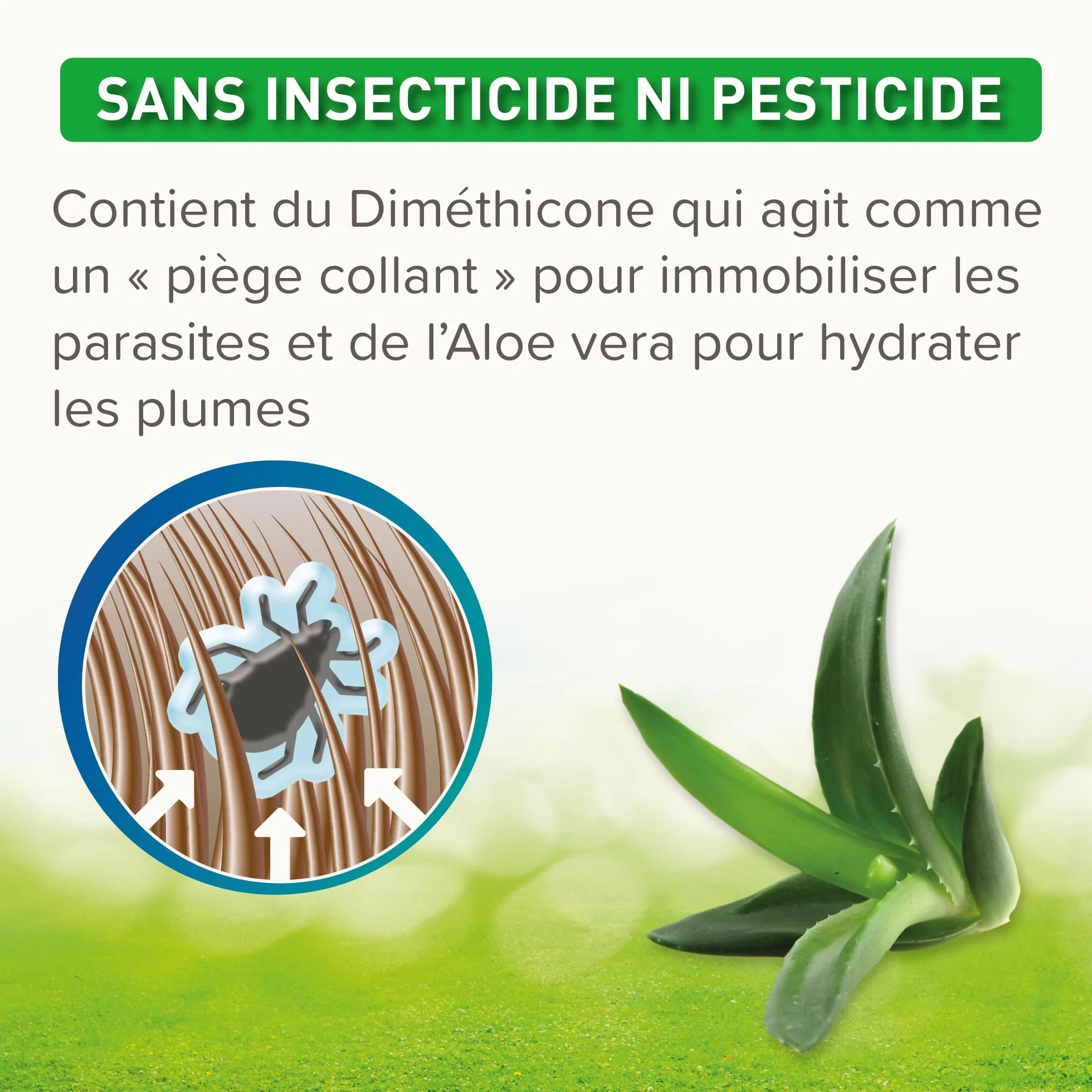 Beaphar Spray Stop poux Rouges 500ml – Immobilise les poux rouges et parasites mécaniquement