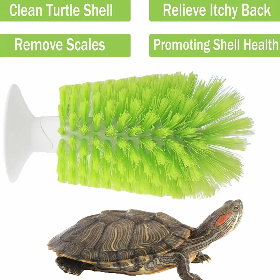Brosses à tortue ventouse lot de 2 exfoliante rayures dos coquille écailles