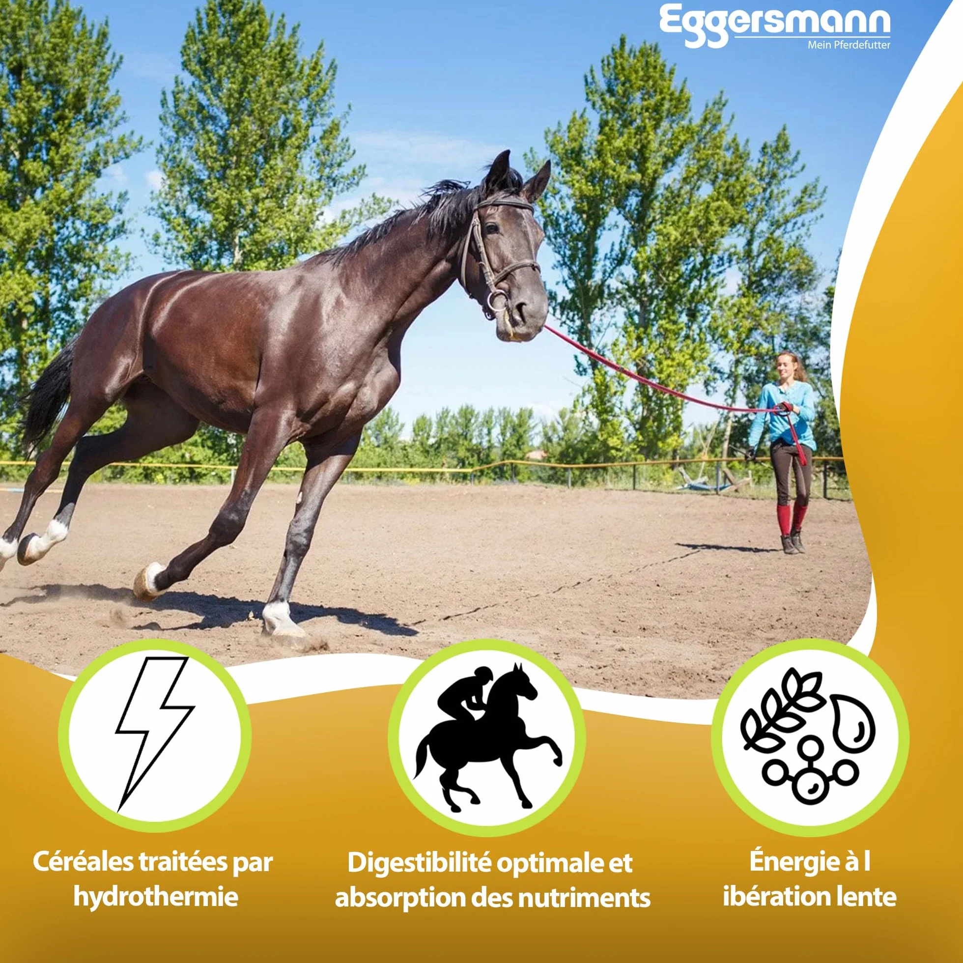 Eggersmann Nourriture pour Cheval Flocons de maïs 15 kg
