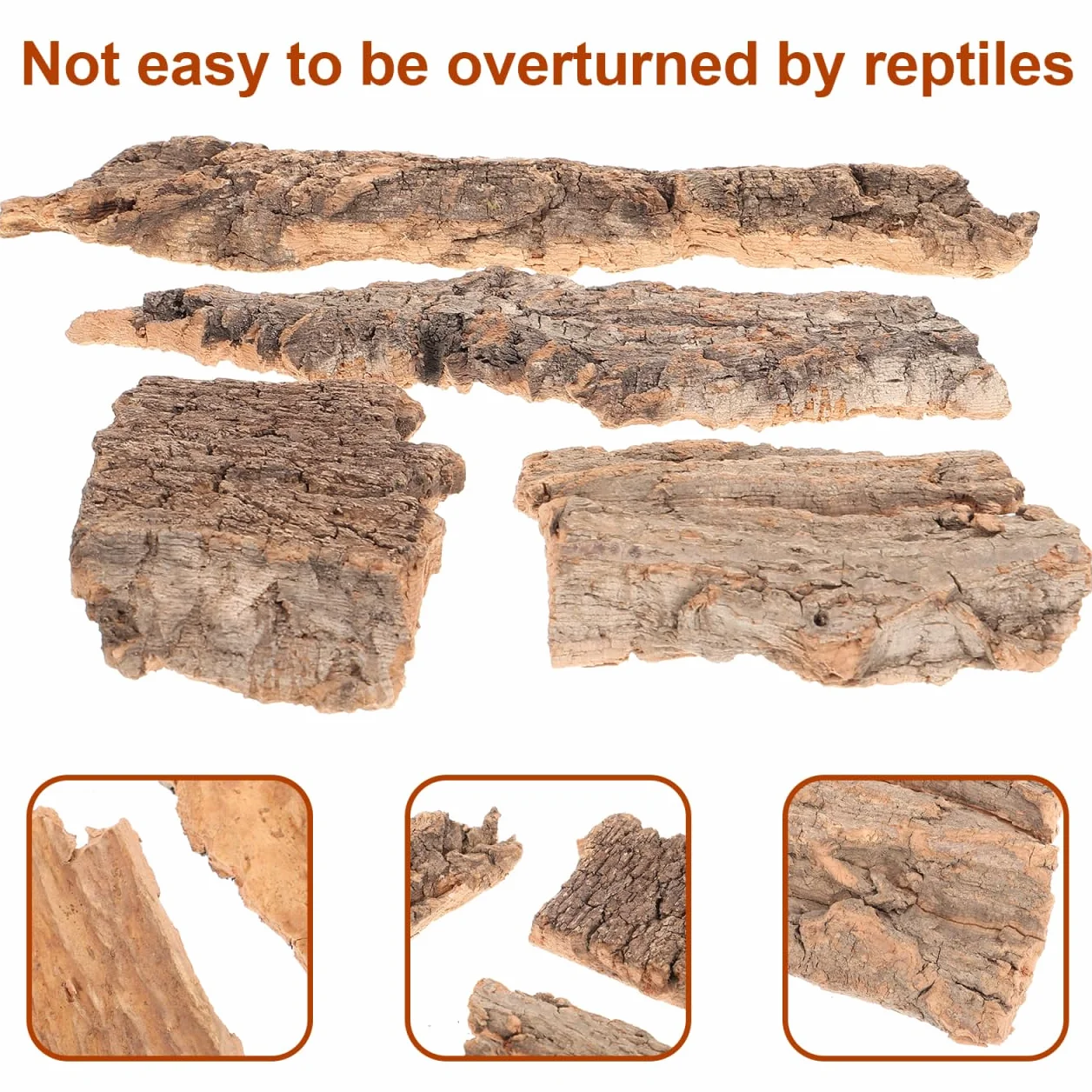 BESPORTBLE Lot de 4 cachettes en écorce d'arbre pour reptiles tortue léopard gecko serpent hamster