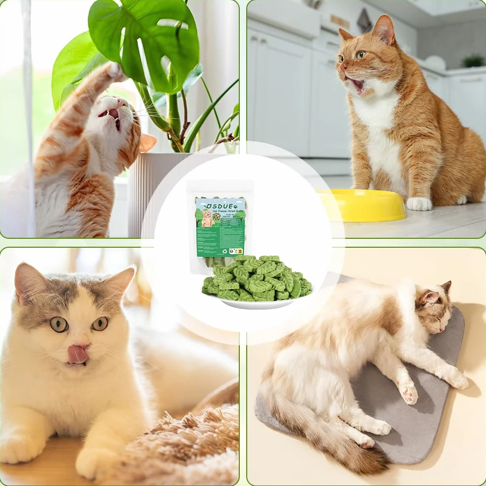 Bâton d'herbe à Chat 100g Feuilles lyophilisé Comestible Nettoyage des Dents Élimination des Boules de Poils pour Chat