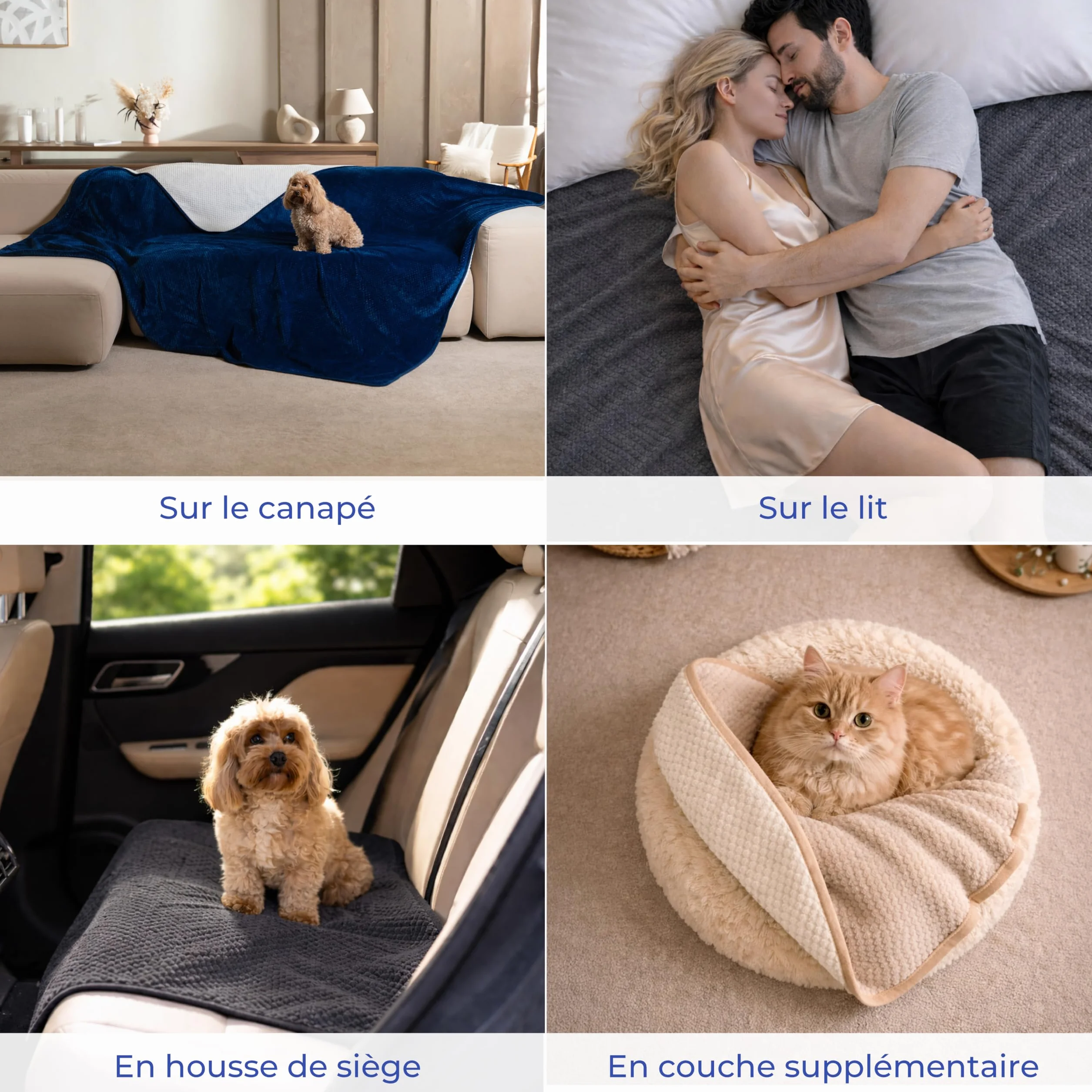 Dreamzie Couverture Chien Imperméable 100x120cm Polaire Réversible Lavable en Machine Gris foncé
