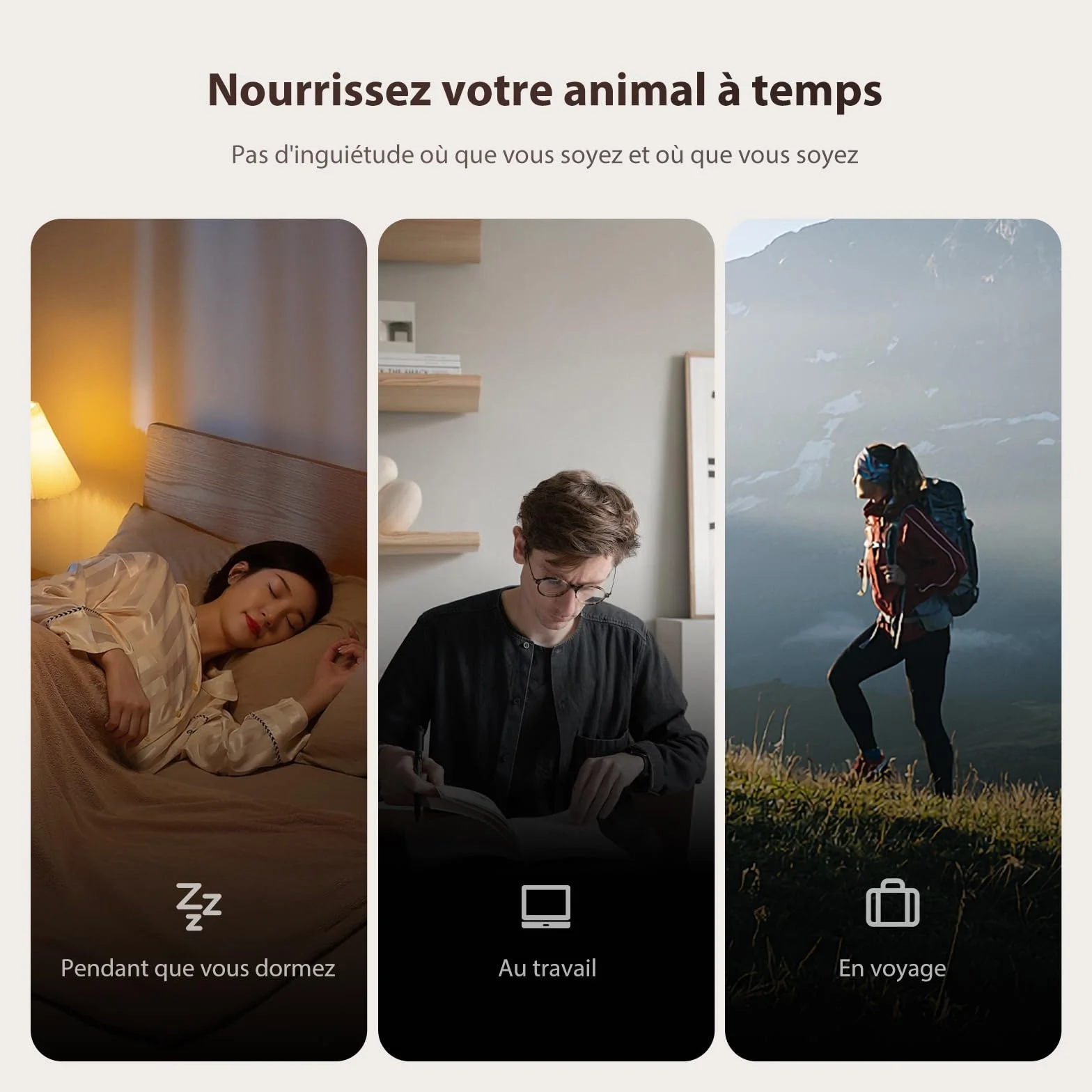 Distributeur Croquettes Chat Automatique Minuterie Programmable 1-6 Repas Jour Blanc 3L