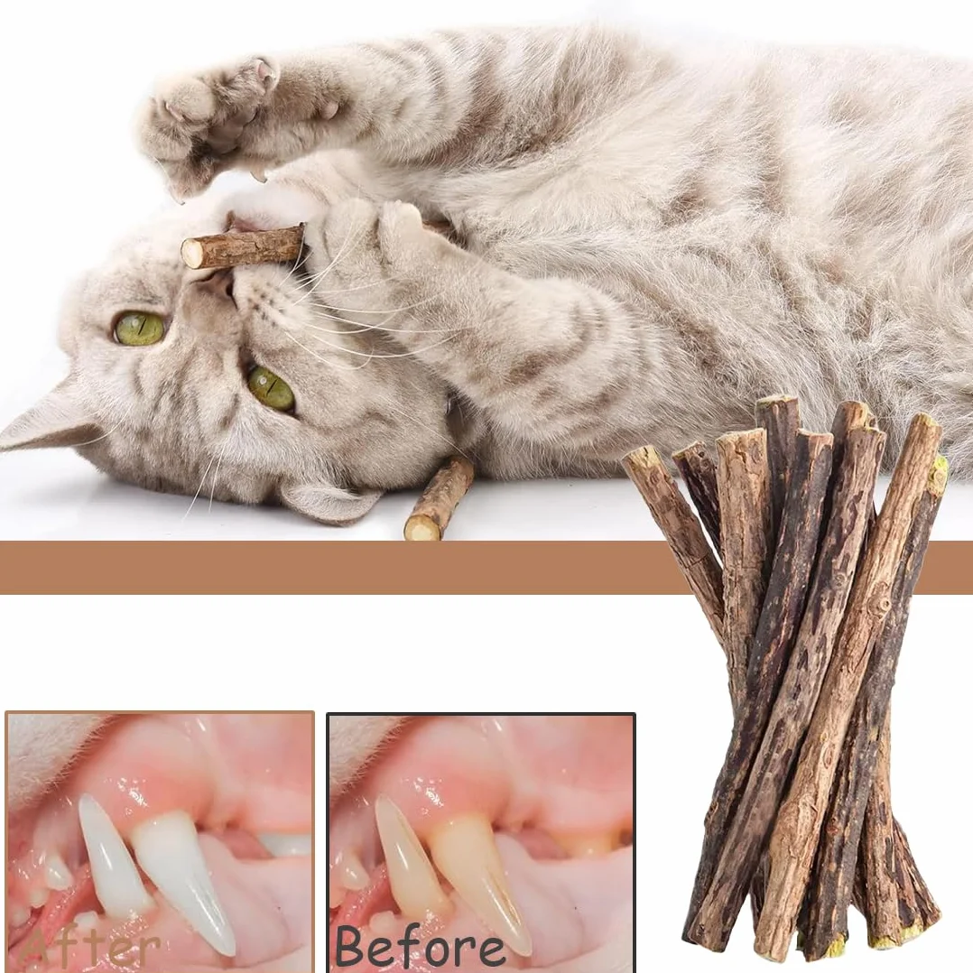 Bâtonnets en Bois de Matatabi pour Chats - 12 Pièces, Jouet Naturel à Mâcher pour l'Hygiène Dentaire, Soin des Dents et Contre la Mauvaise Haleine (Diamètre 0.6-0.8 cm)