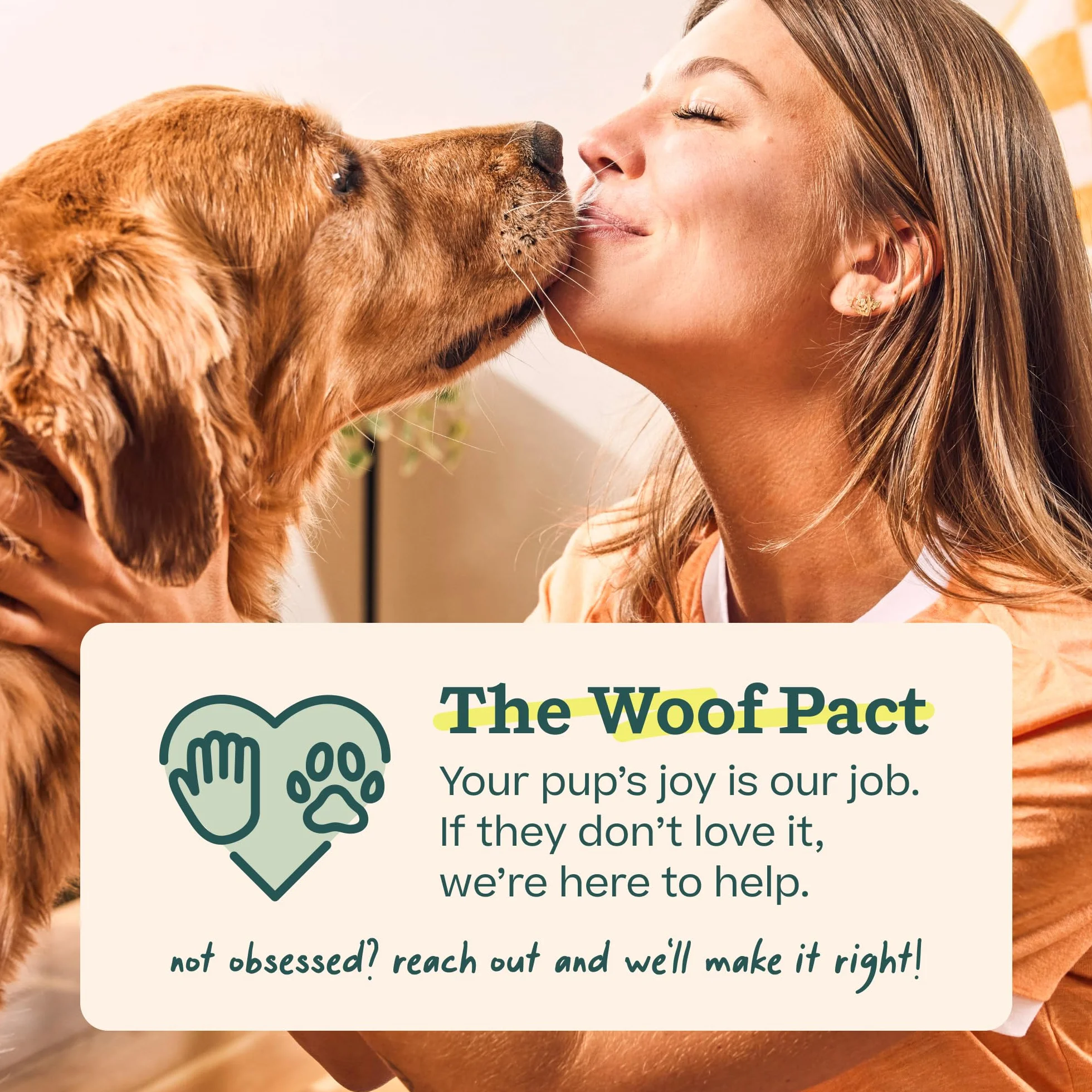 WOOF Bully Sticks Friandises pour chien – Bâtons à mâcher durables en bœuf nourri à l'herbe