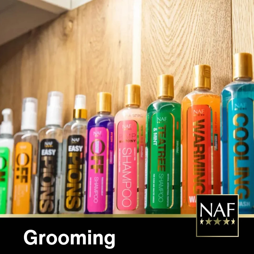 NAF Shine on