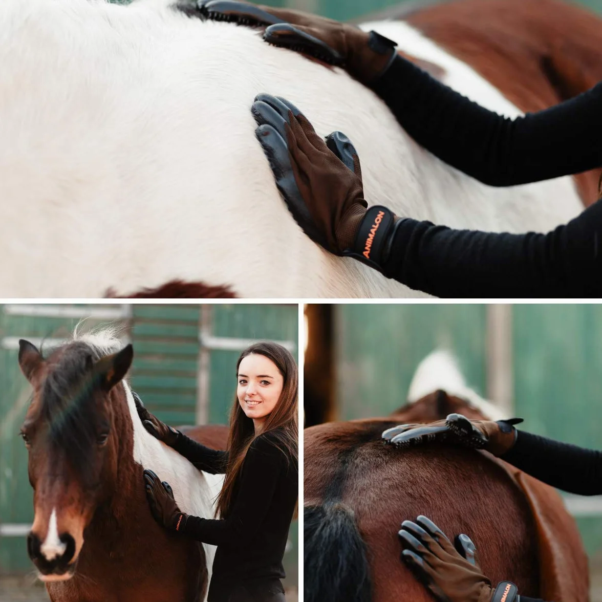 Animalon Gants de toilettage en caoutchouc lot de 2 pour chevaux et chiens changement de pelage