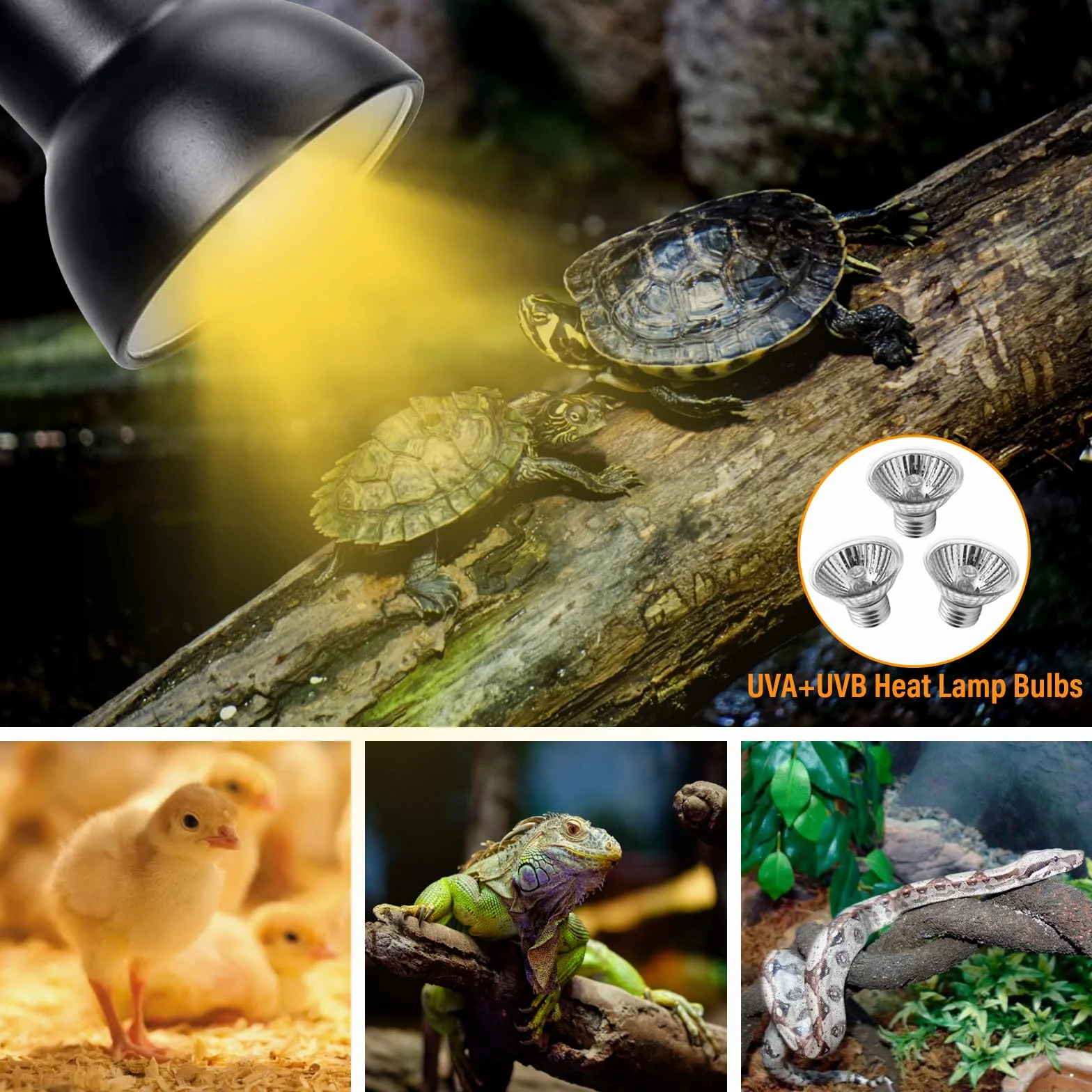 TOGETDREAM Lampe Chauffante Reptiles avec 3 Ampoules UVA UVB 25W 50W Pince Pivotante 360° pour Tortue Serpent Lézard