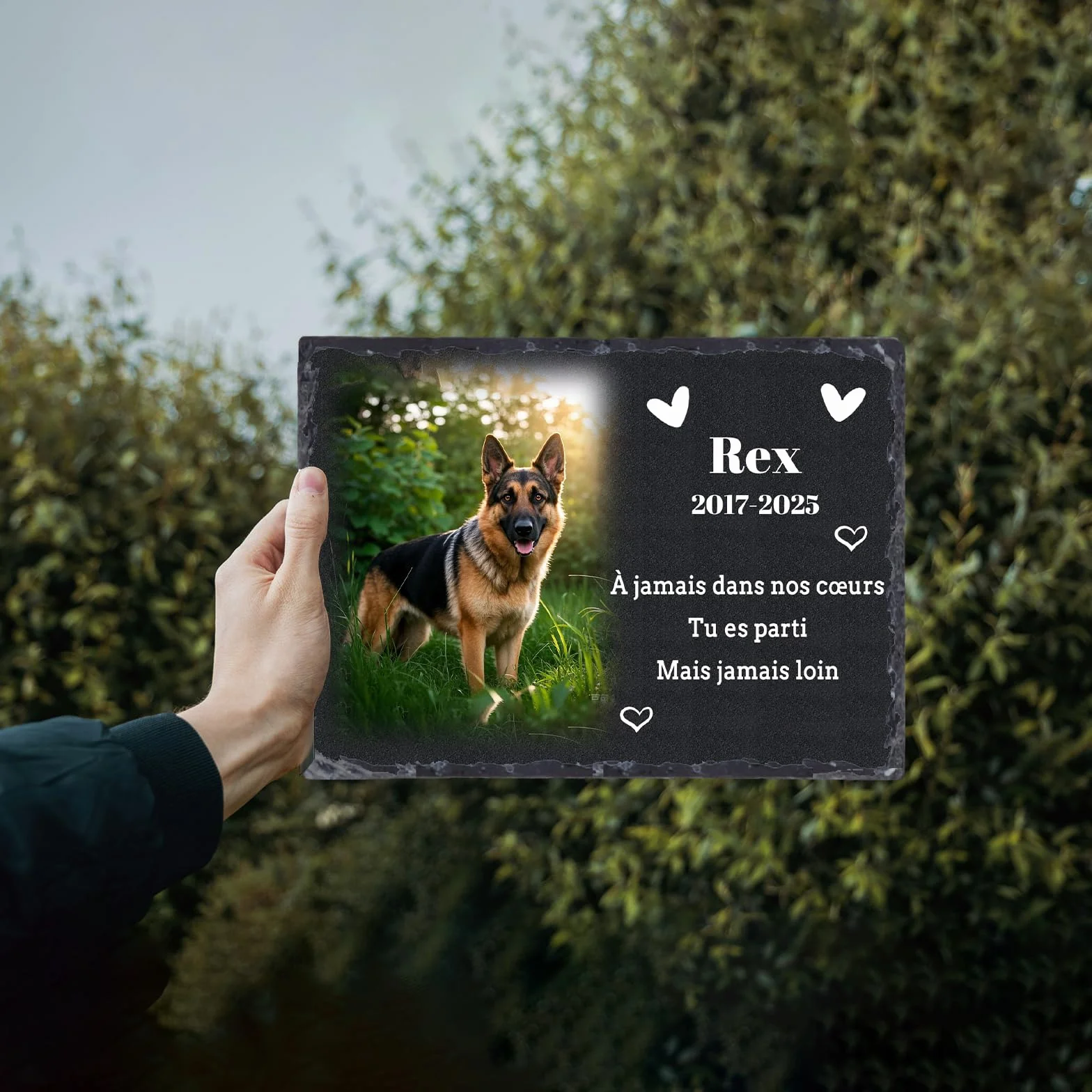 Plaque commémorative personnalisée en Ardoise pour Animaux de Compagnie, Pierre tombale Photo avec Support, 10x14/14x20/20x30 cm