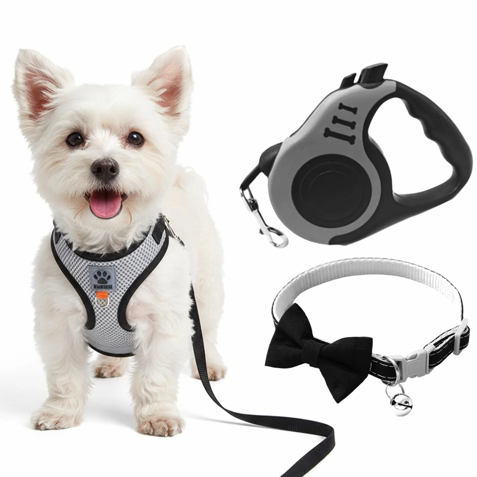 Harnais Chat Anti-Évasion avec Laisse Télescopique 5m, Ensemble pour Chatons et Petits Chiens