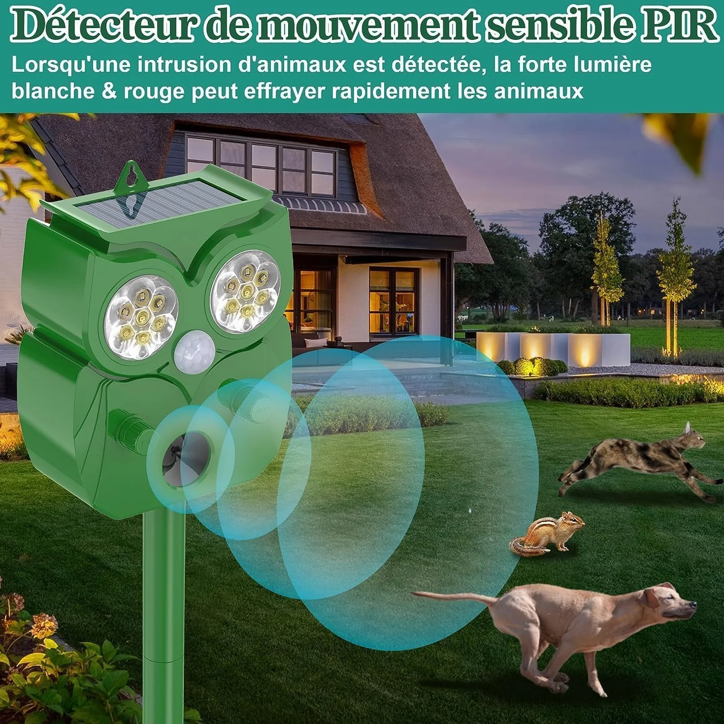 Répulsif Chat Ultrason IP65 2 Pièces Fréquence Réglable pour Chats, Pigeons, Cerfs