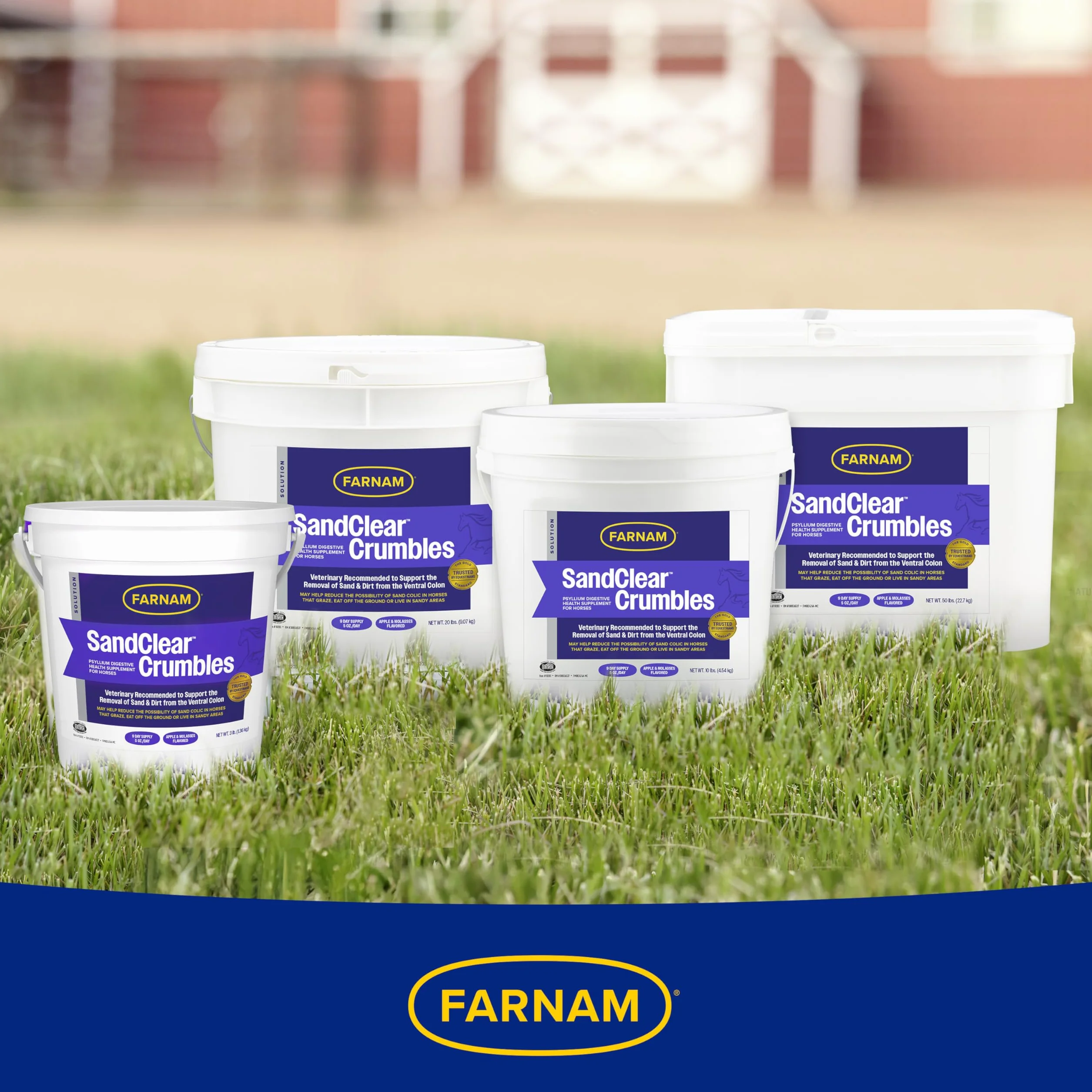 Farnam Sand Clear 1.36 kg