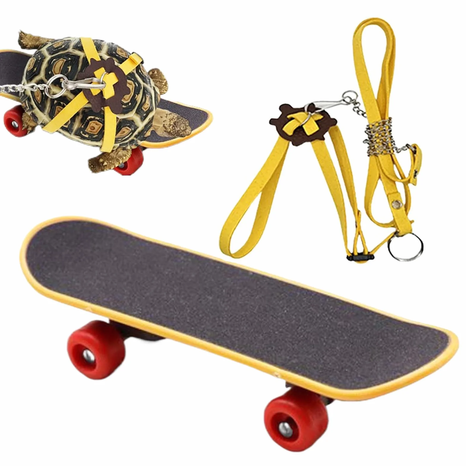 Kit de jeu de tortue avec corde d'escalade et skateboard, harnais réglable pour reptiles, accessoire intérieur extérieur