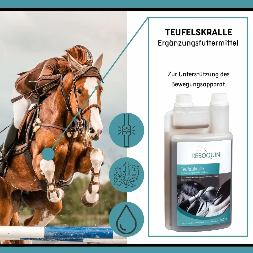 Rebopharm ReboQuin Griffe du diable 1 litre Santé articulaire chevaux Arthrose Inflammation Gonflement