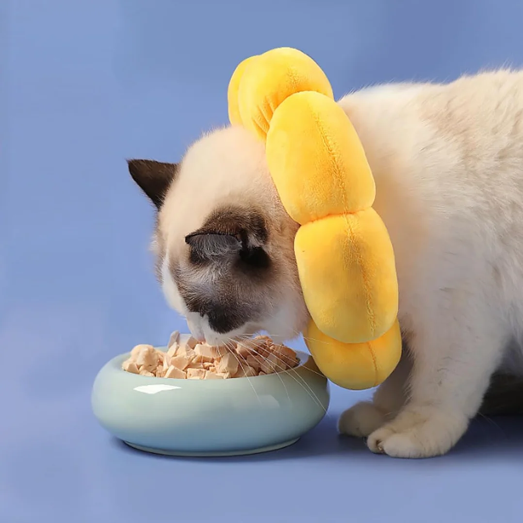 Collerette pour Chat Anti-Léchage Après Chirurgie en Coton Suédé Respirant Ajustable