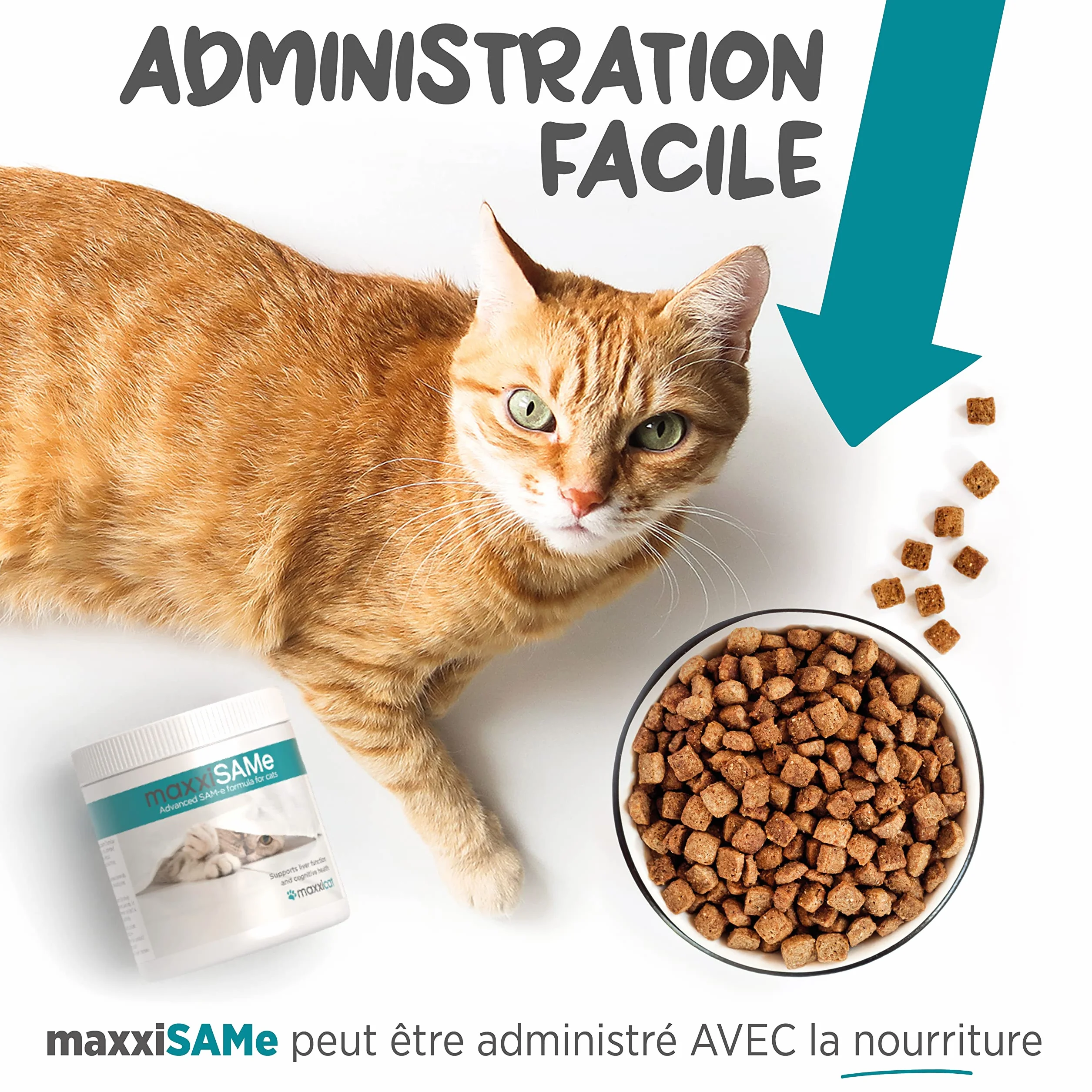 maxxiSAMe pour le Soutien du Foie félin et Dysfonctionnement cognitif Chats âgés – Sam-e Supplément Chats – Poudre 90 g