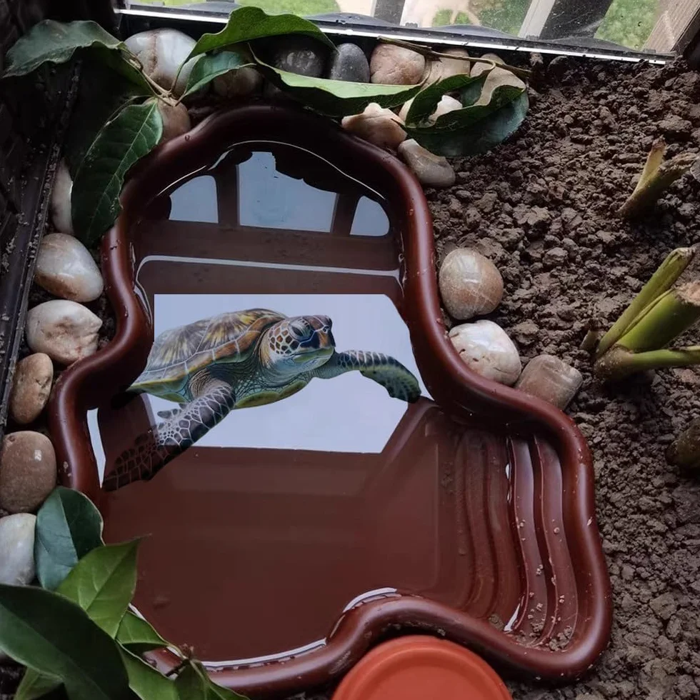 Bassin de bain pour tortues et reptiles