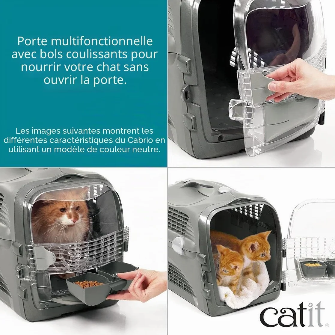 Catit Cage de Transport Cabrio pour Chat Turquoise