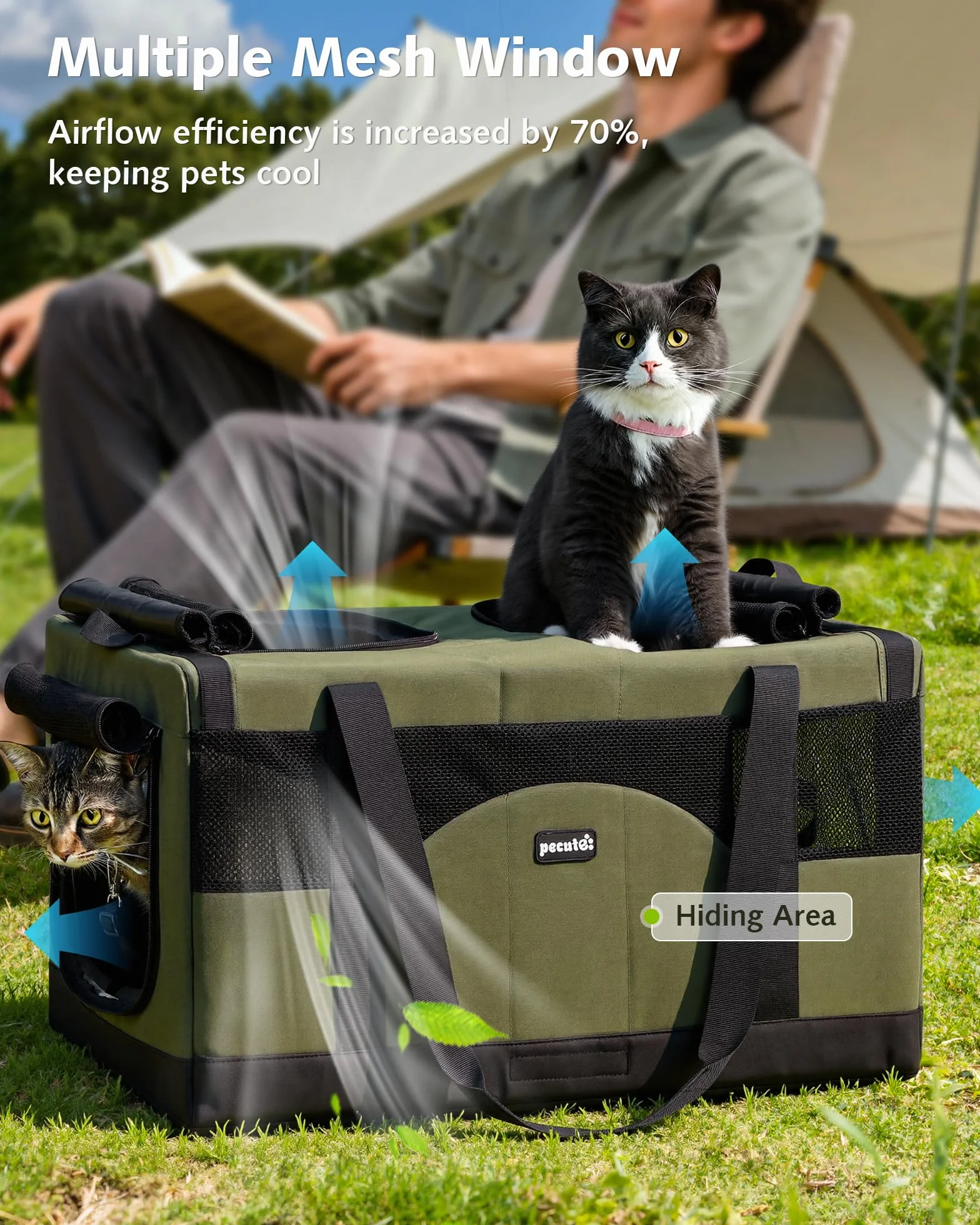 Pecute Sac de Transport pour 2 Chat, Cadre Ultra Stable, Pliable, Vert
